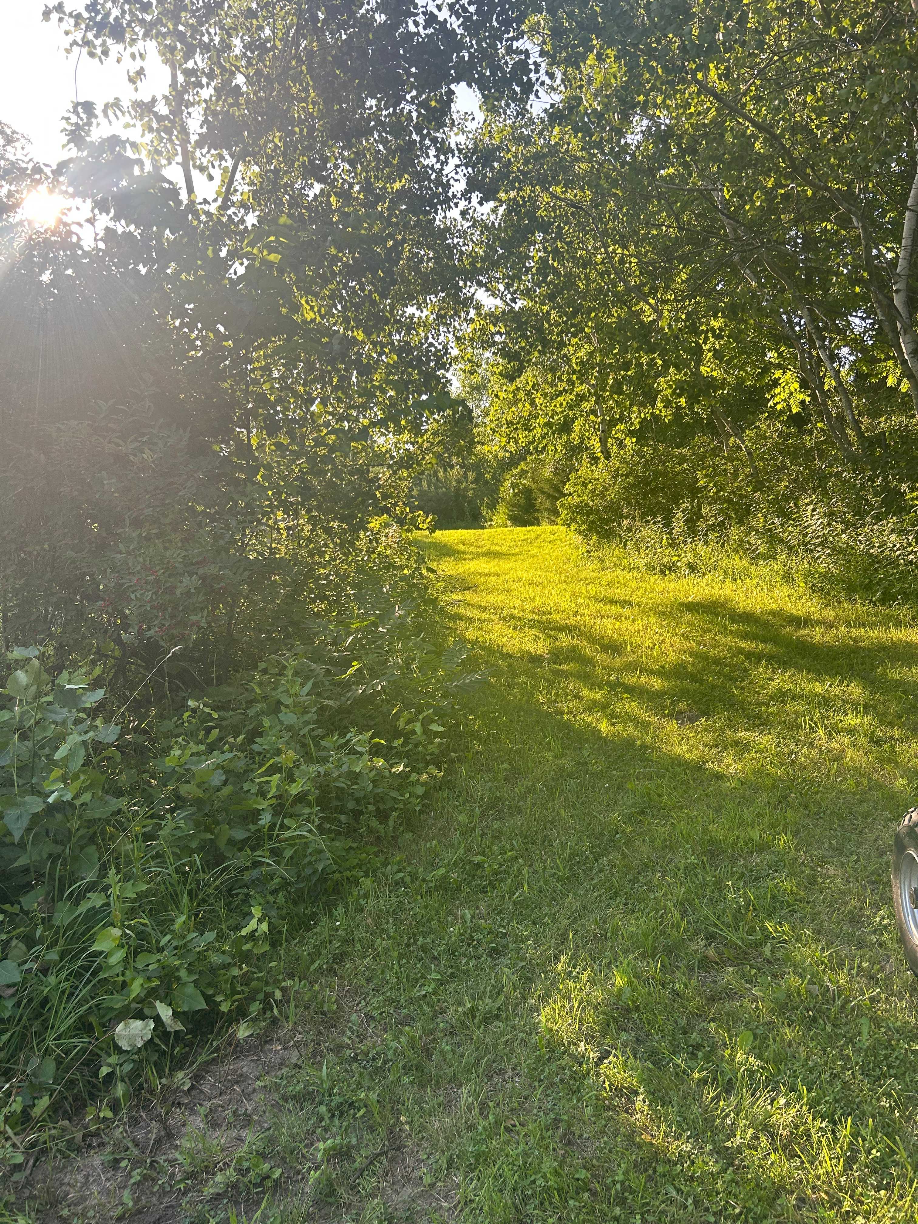Trail Leading Down to Campsite