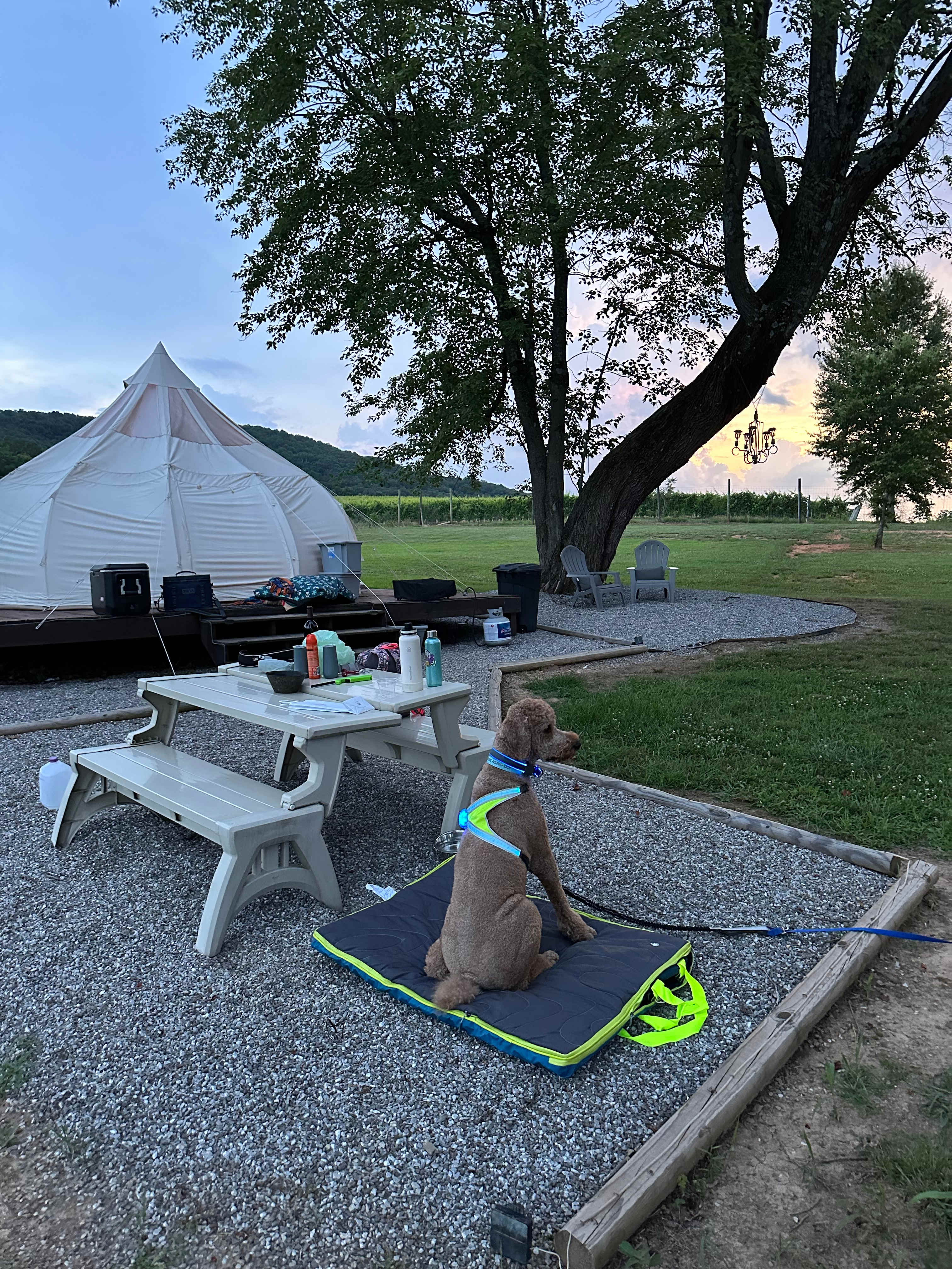 R & R Glamping
