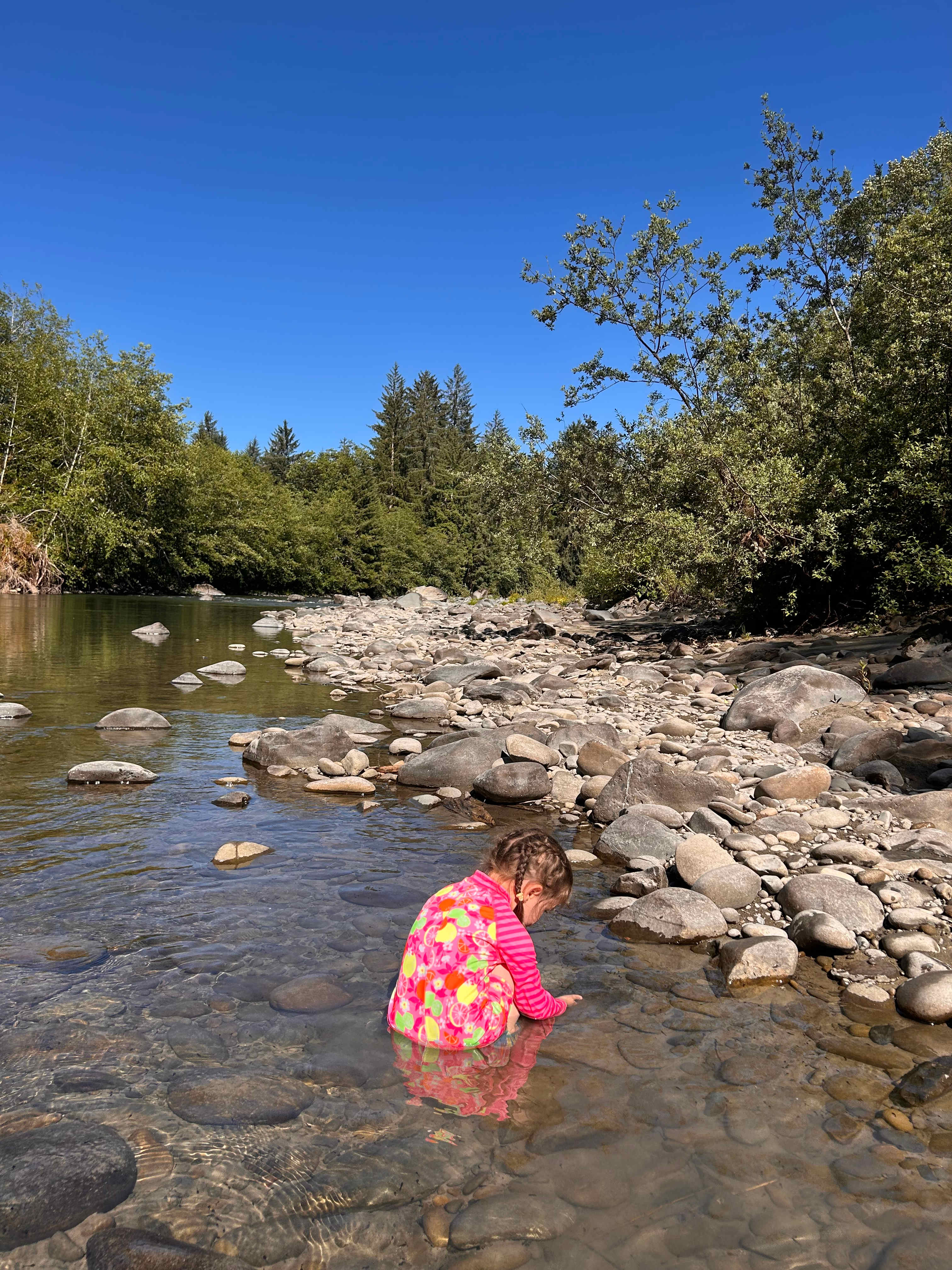 Bogachiel Upriver Campsites