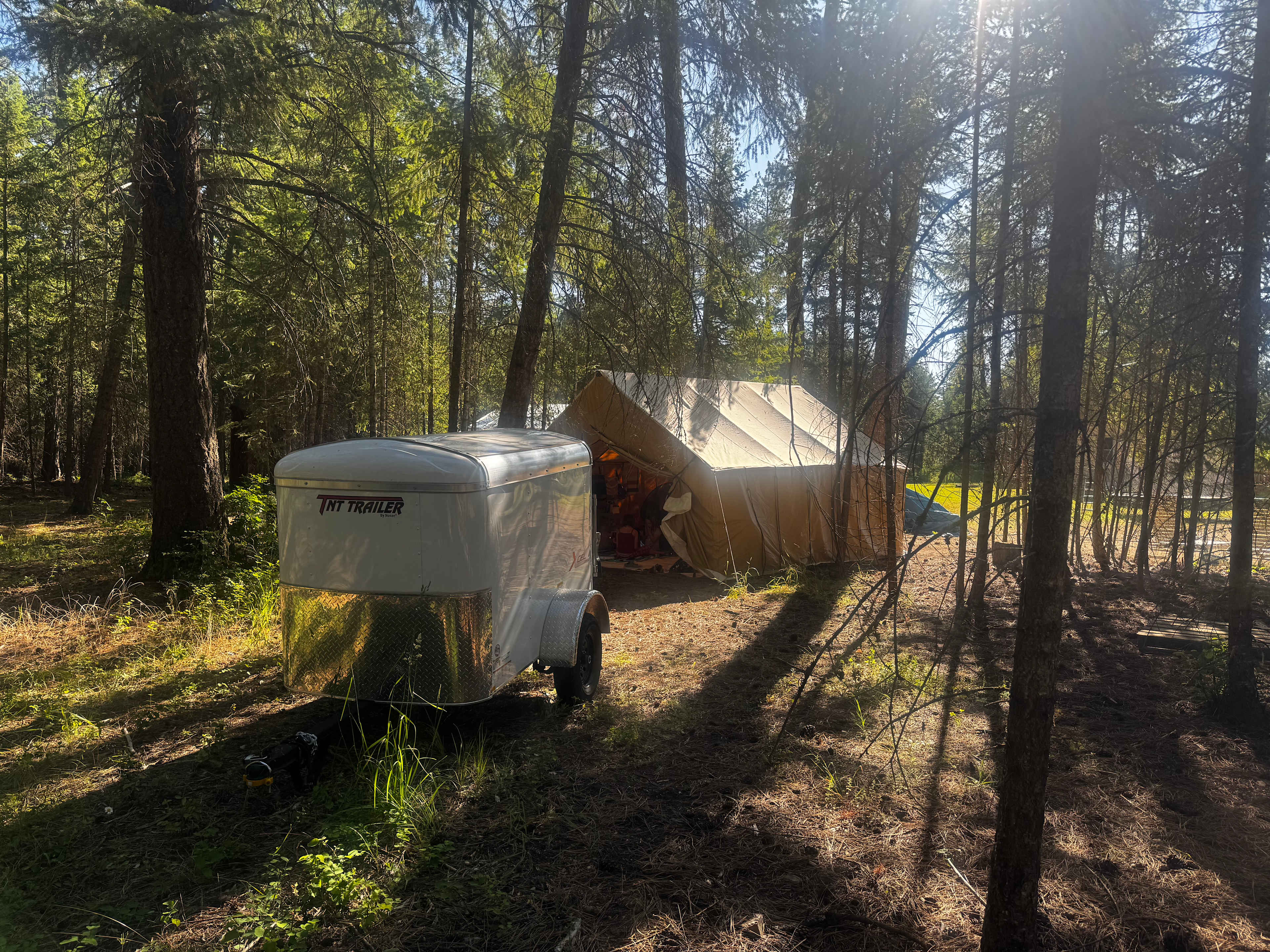 Peaceful Pinecone Grove