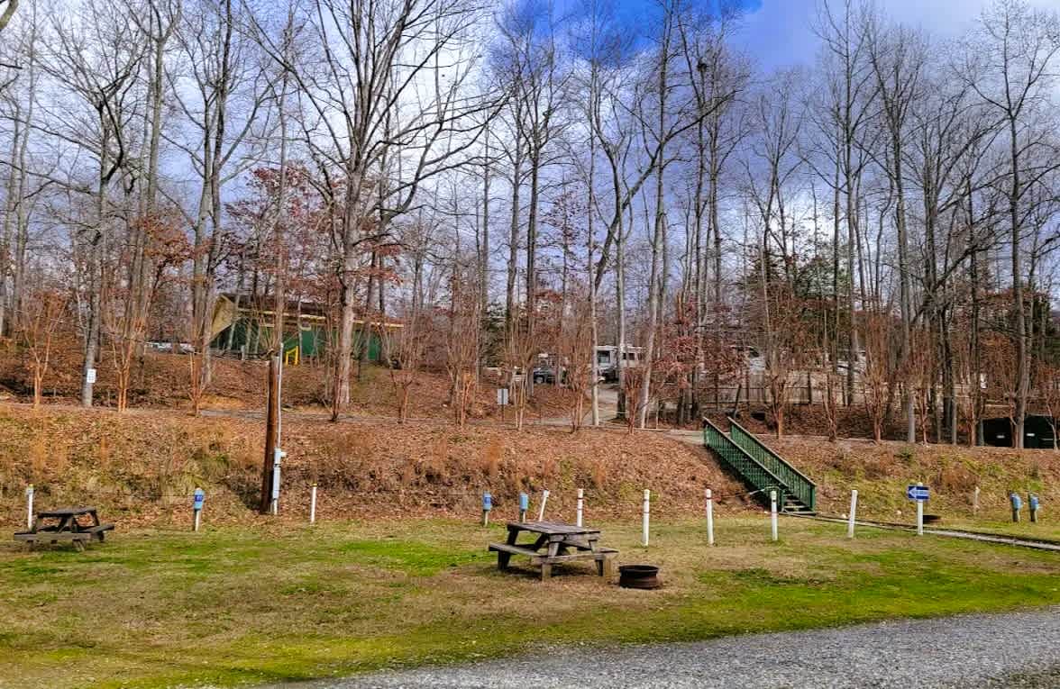 Yonah Mountain Campground