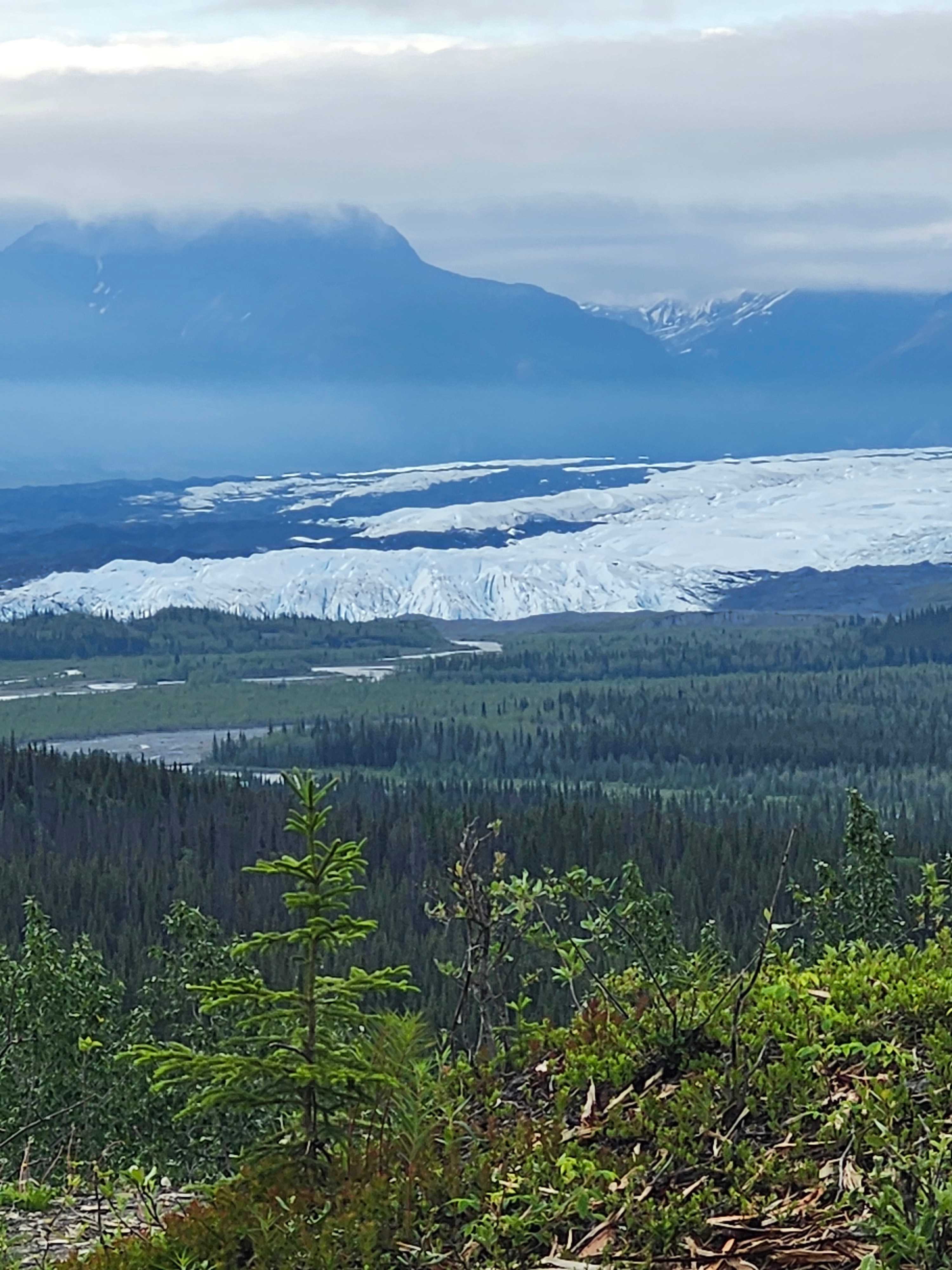 View from site 11