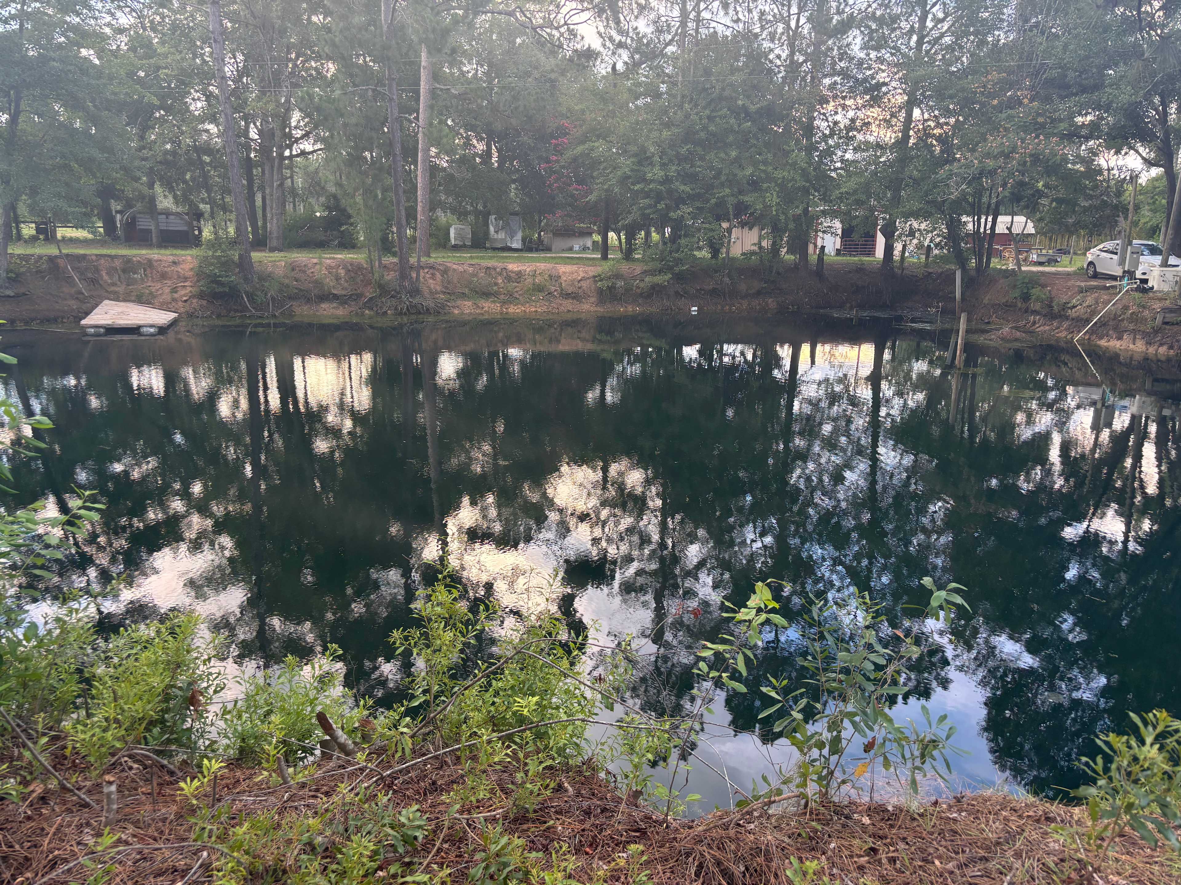 Bluewater Horse Ranch