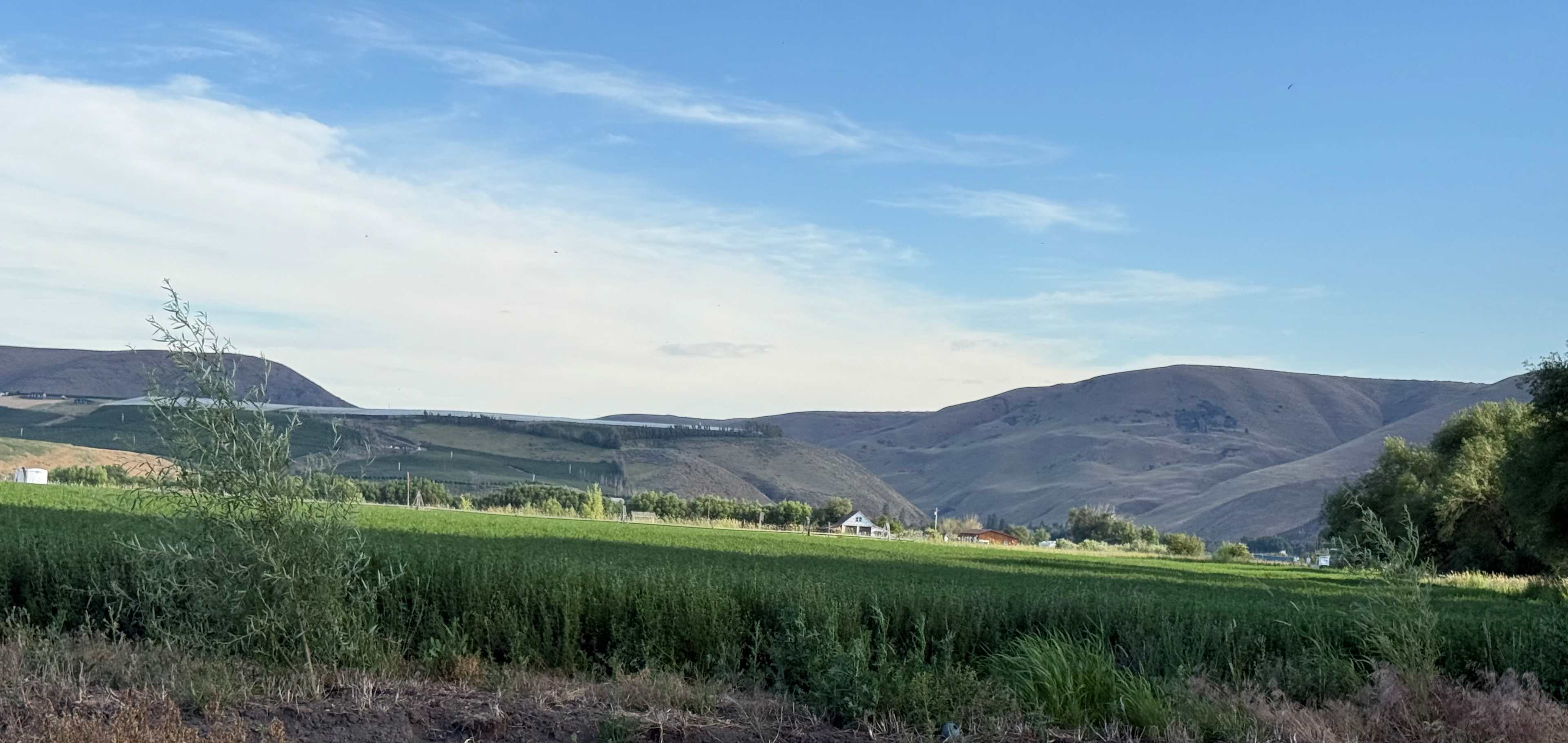 The Hay Farm