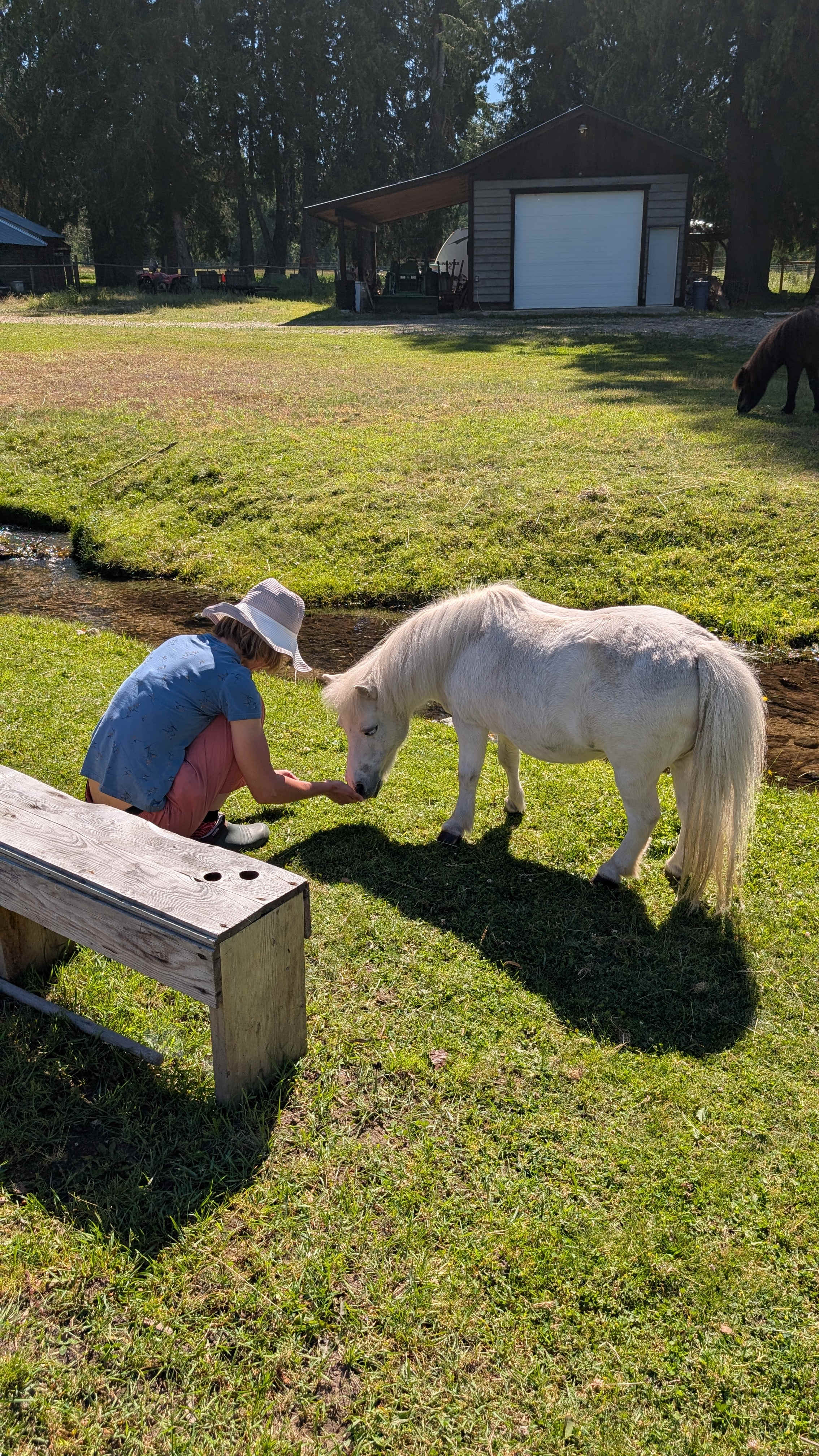 Olich Creek Farm