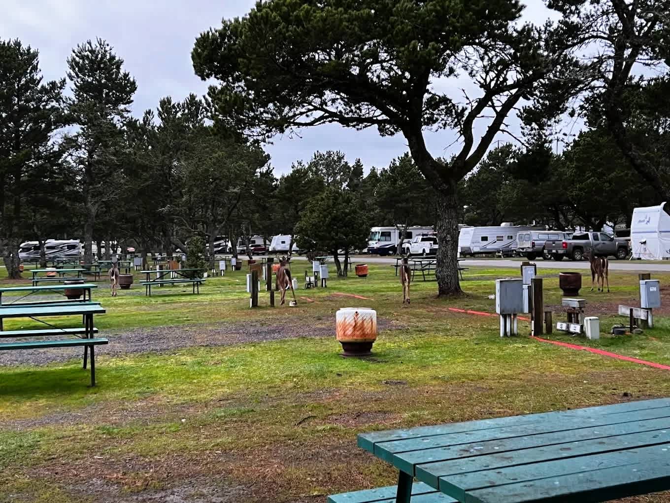 American Sunset RV & Tent Resort