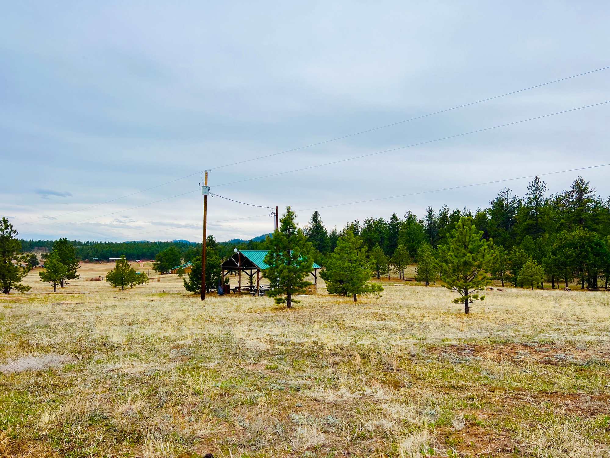 M Lazy C Ranch