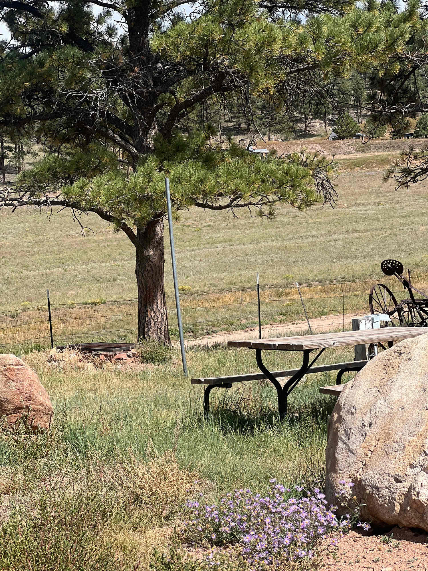 M Lazy C Ranch