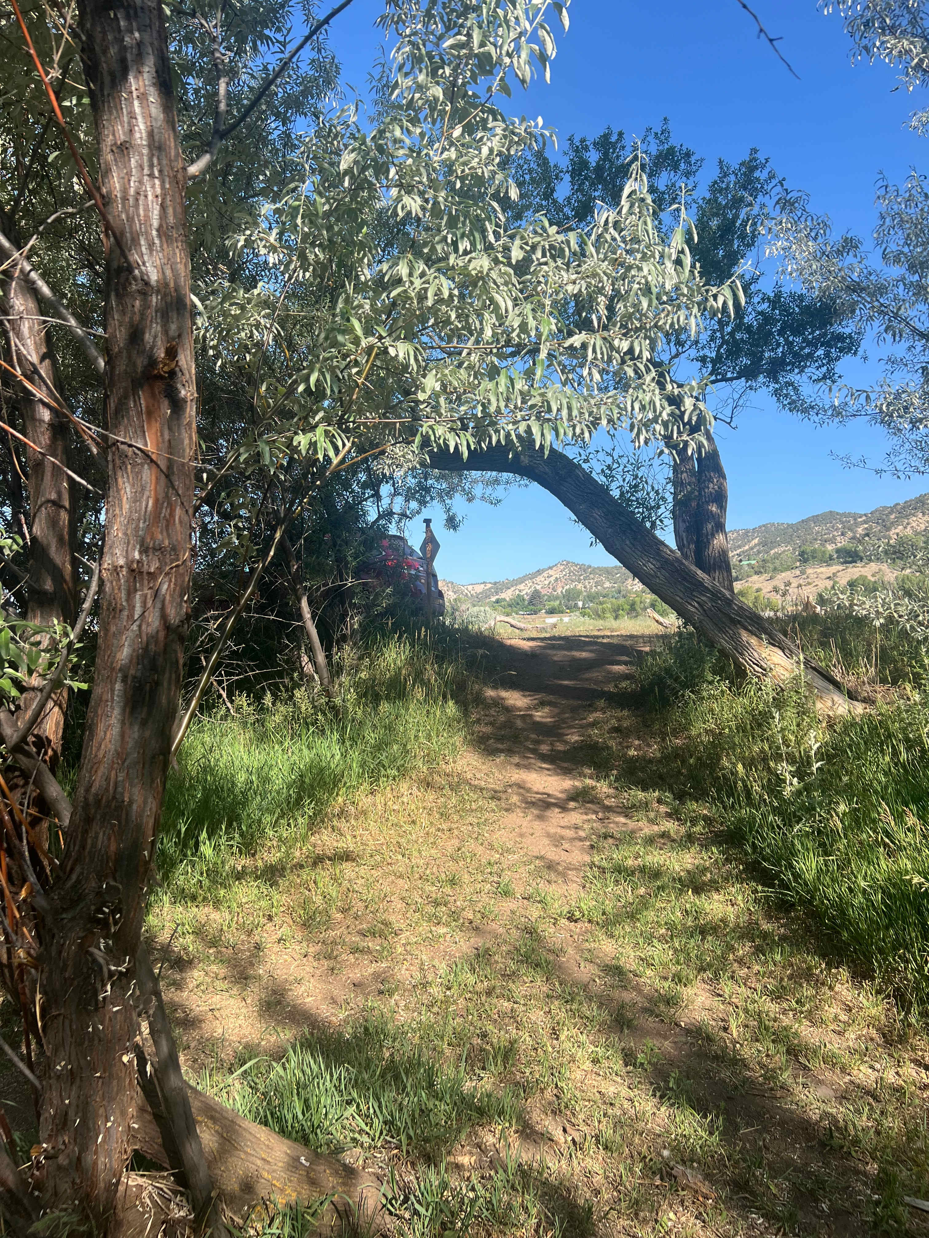 Colorado River Camp Has It All!