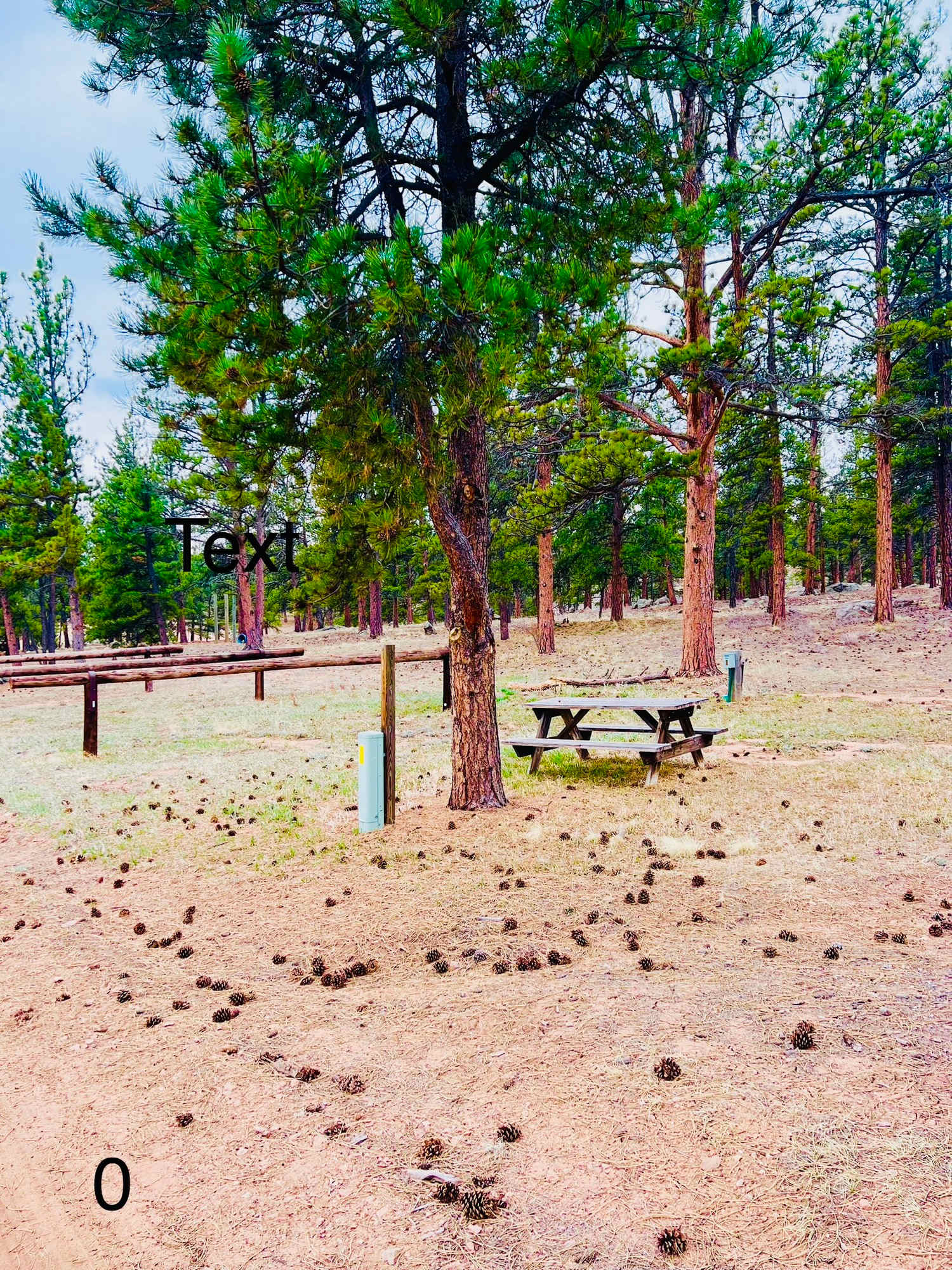 M Lazy C Ranch