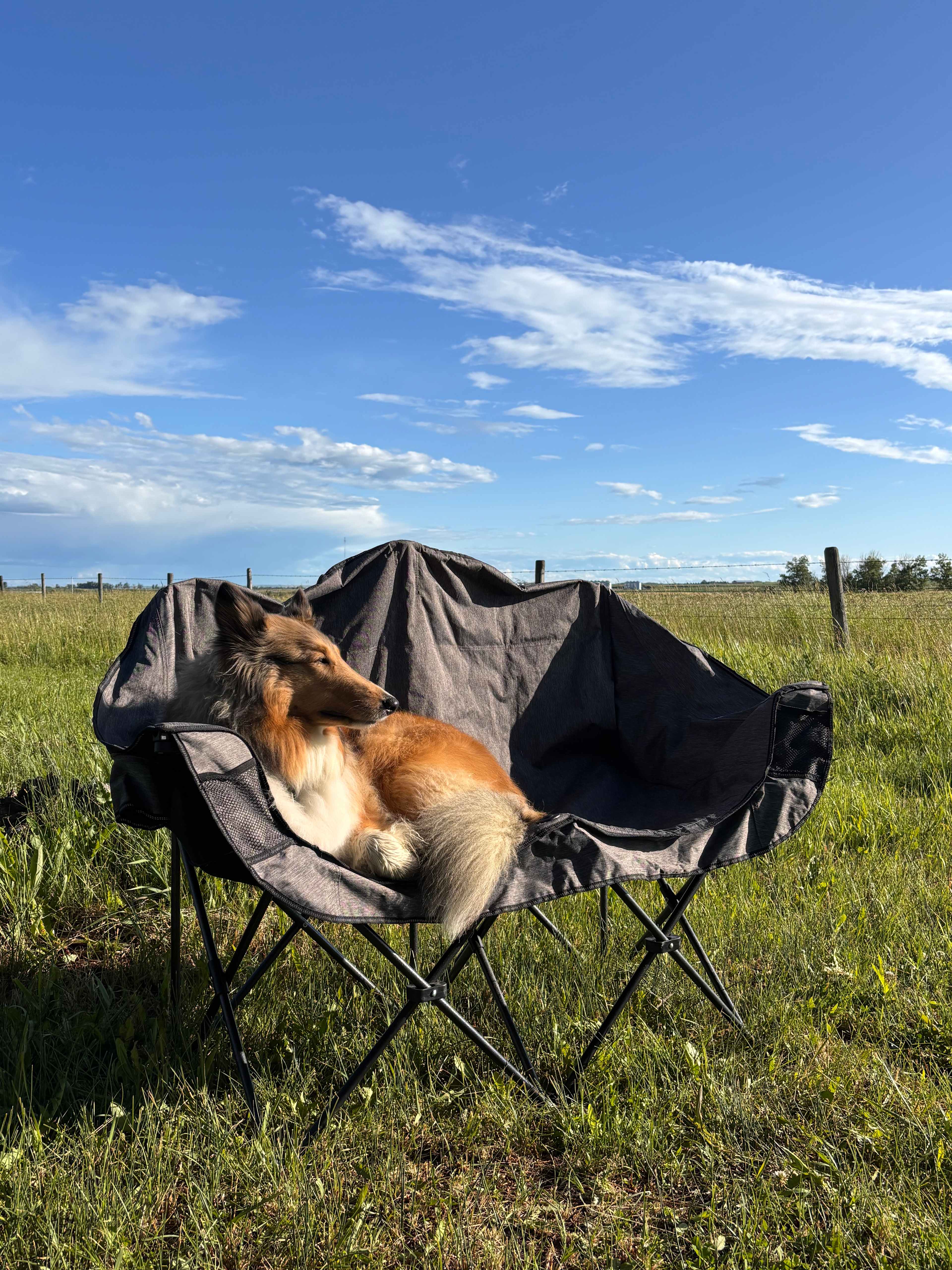 Park Setting Ranch Venue Retreat with Private Camping Area