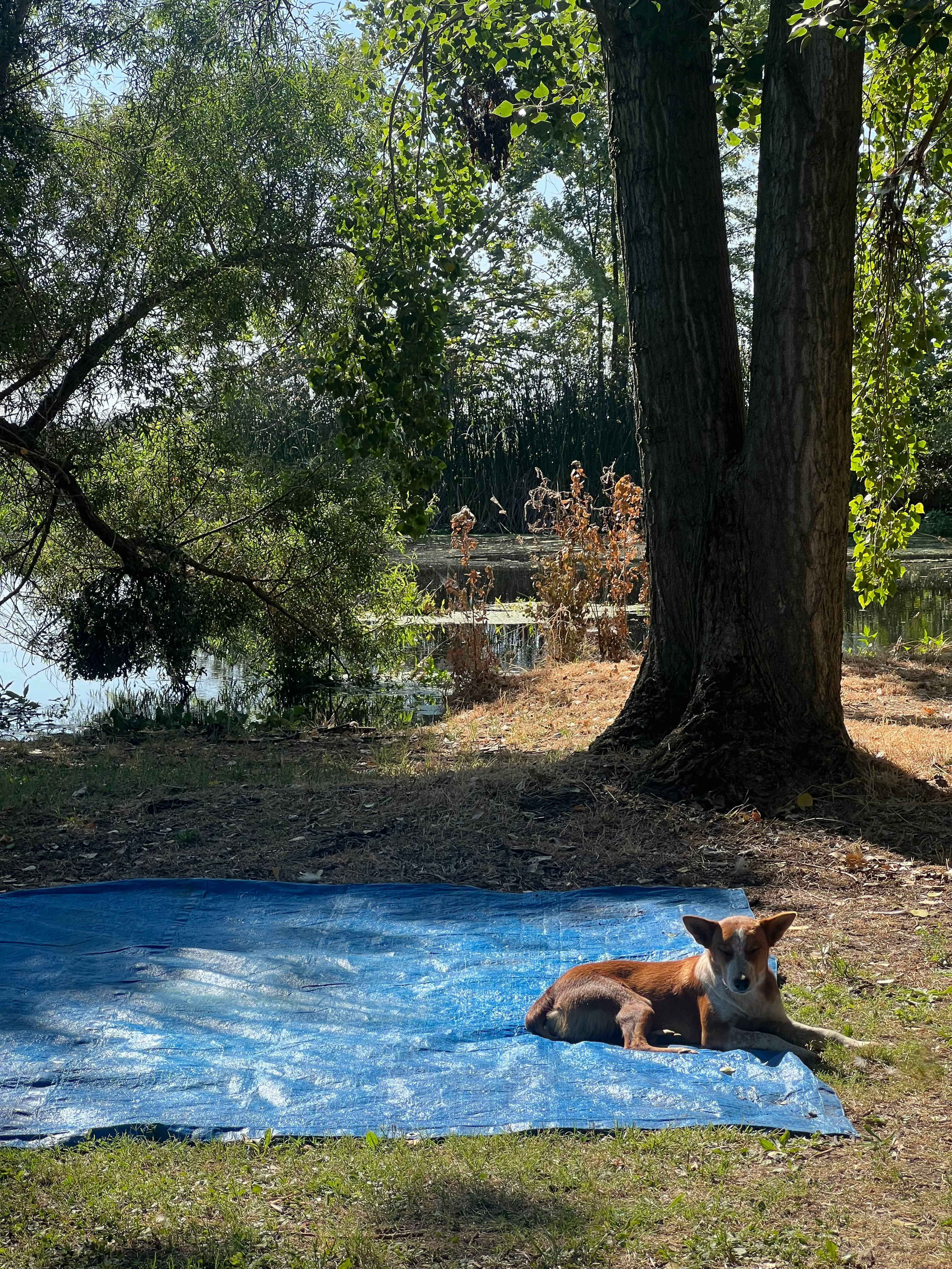 Walden Ranch