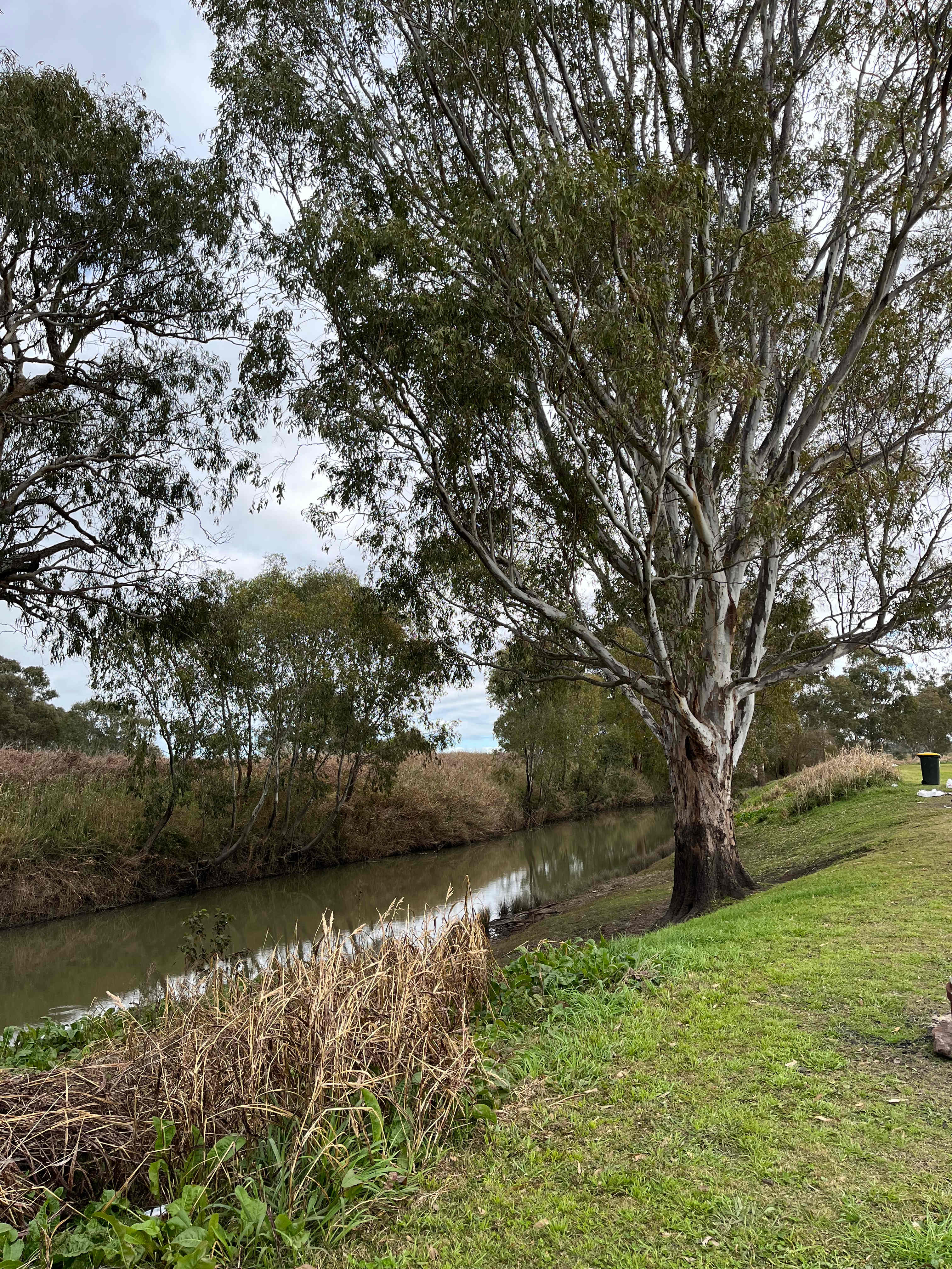 Warrego Farm