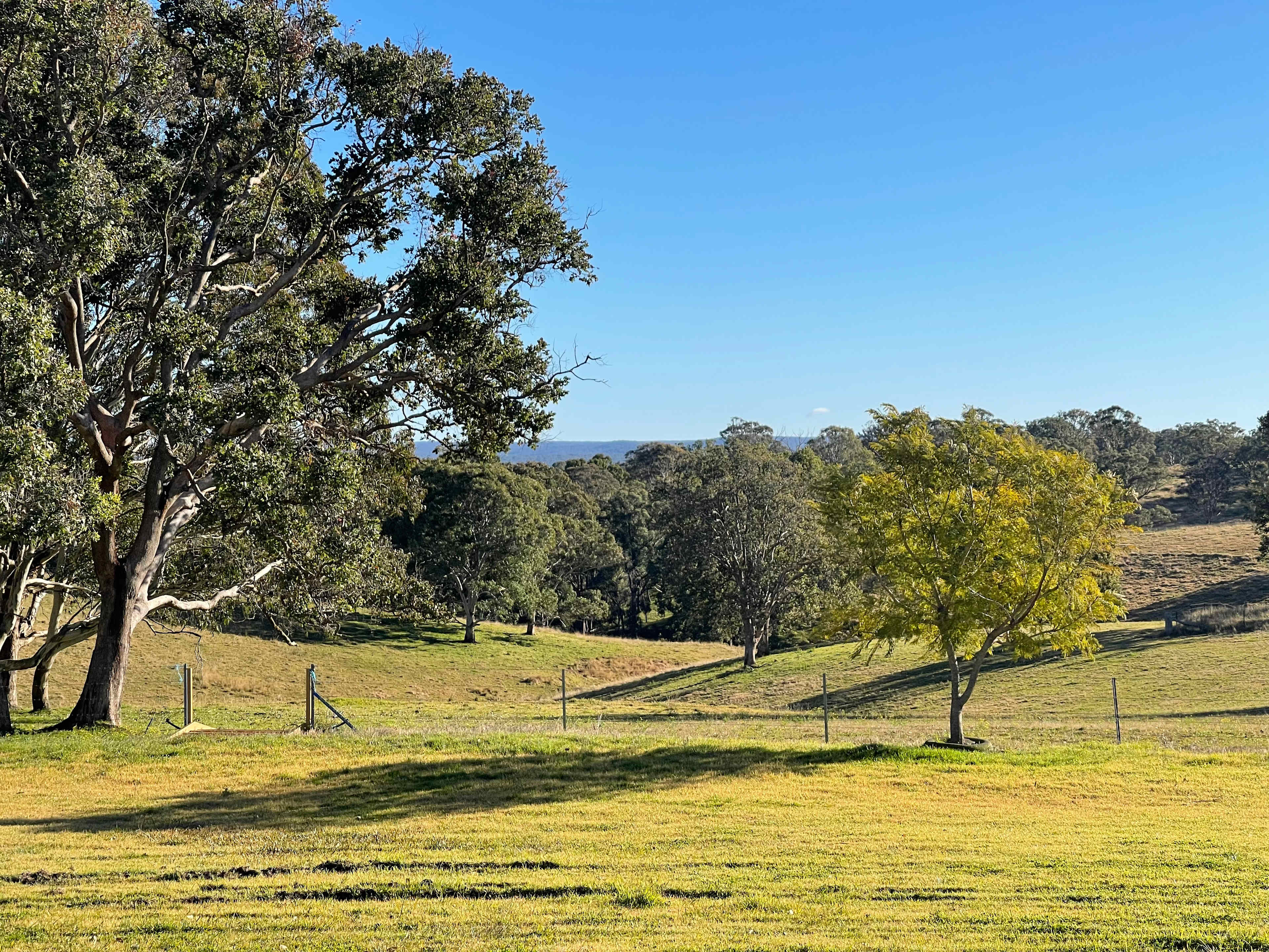 Aloomba Lavender Farm