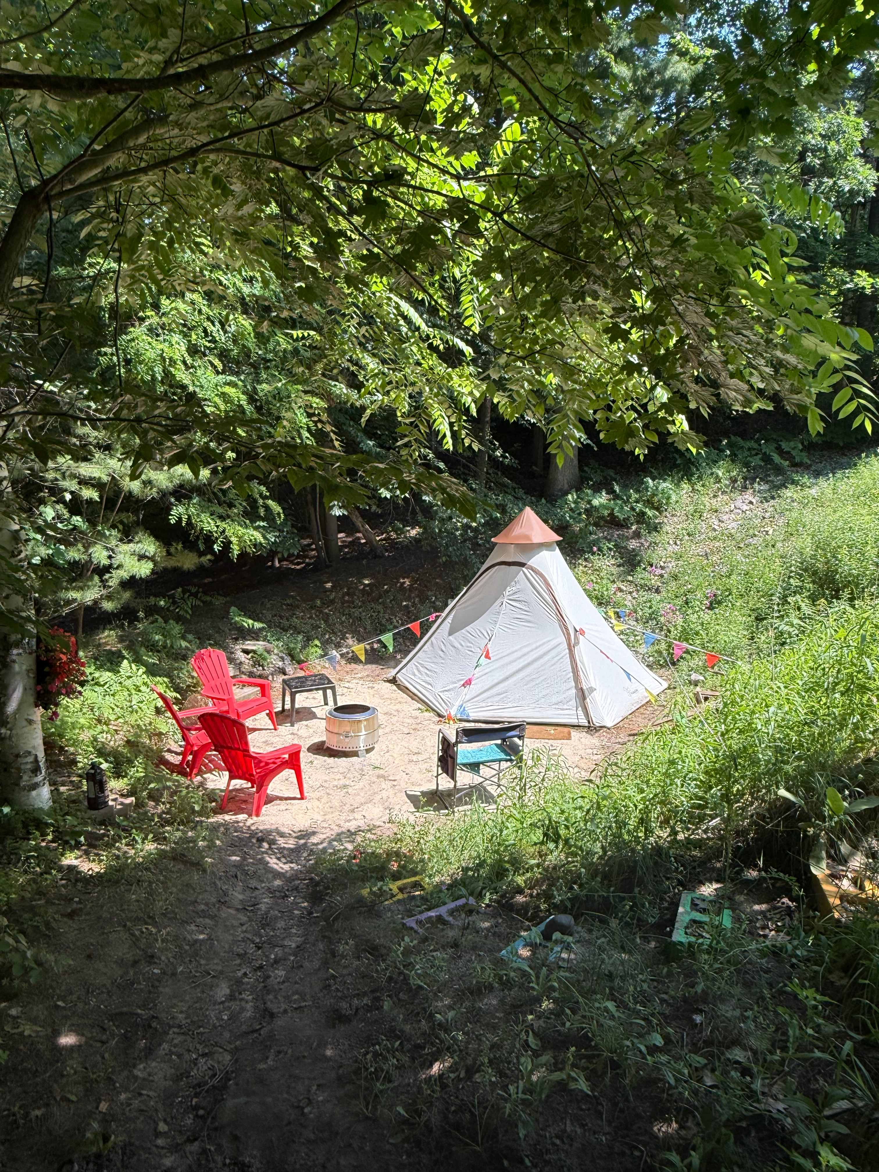 Tent site two minutes from down town Traverse City in the woods off our back porch.  Sleeping bags and air mattresses for 2 provided, or BYO. Renters have access to indoor bathroom, laundry and ice box. 