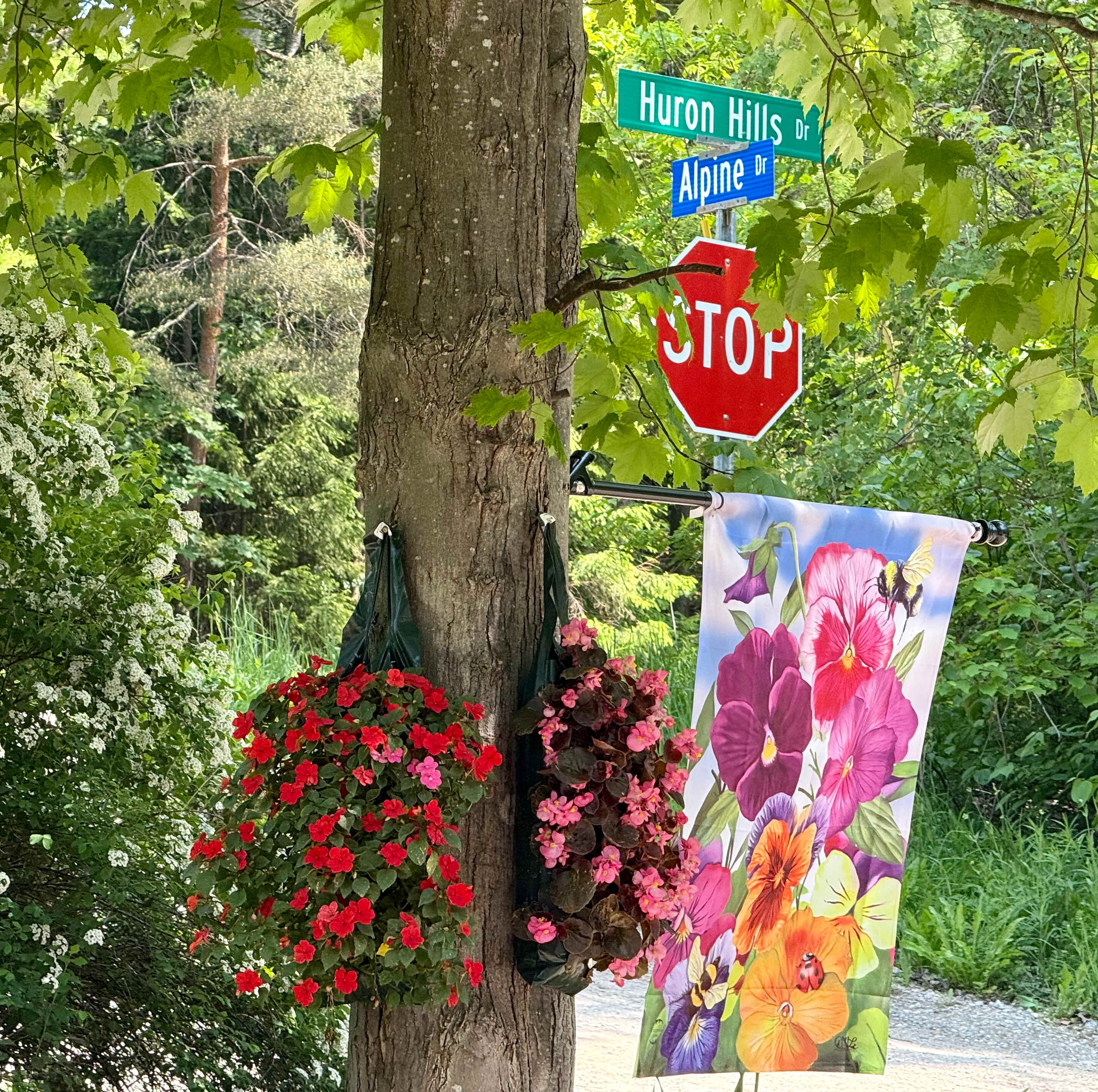 You will find us at the corner of Huron Hills and Alpine Dr. parking is off Alpine Dr

Parking is off Alpine Dr