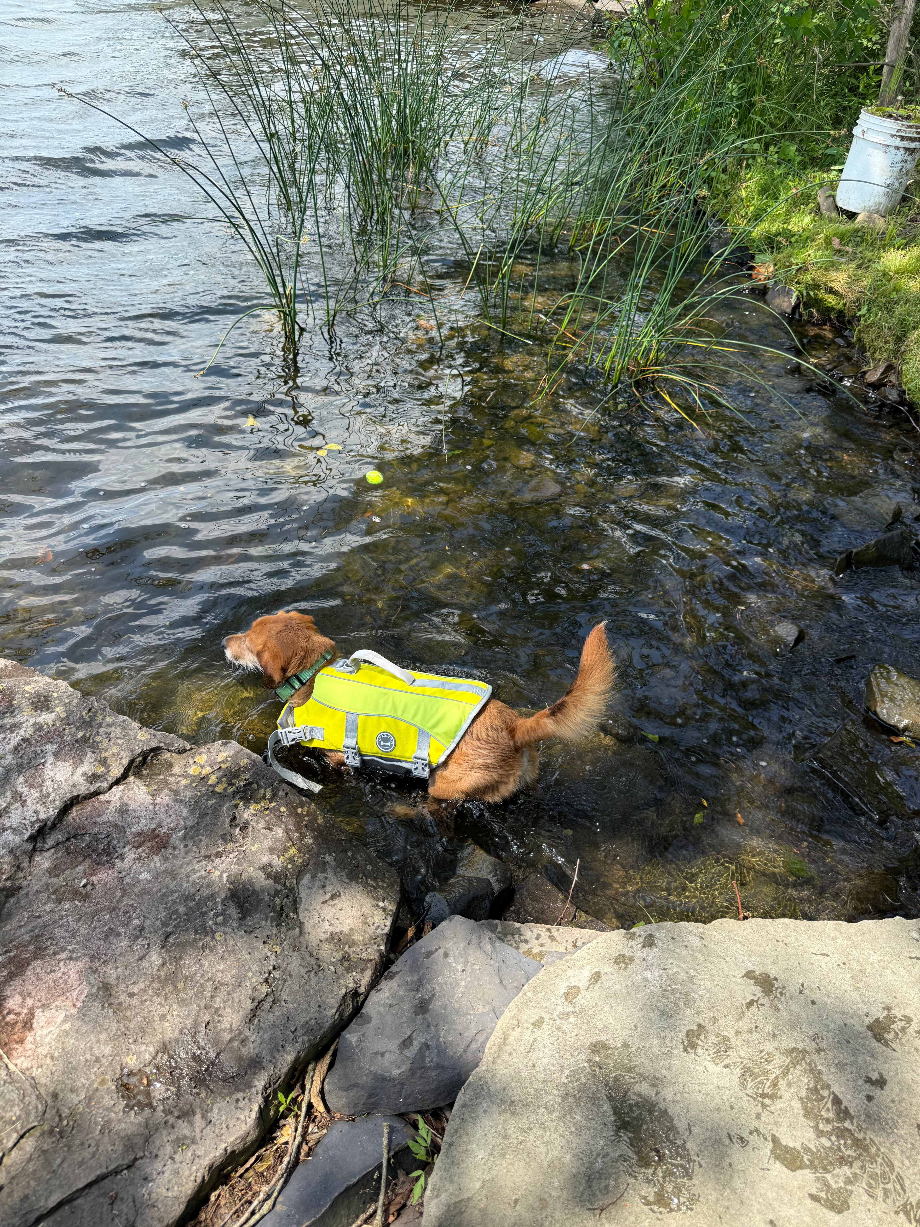 Perfect swimming area