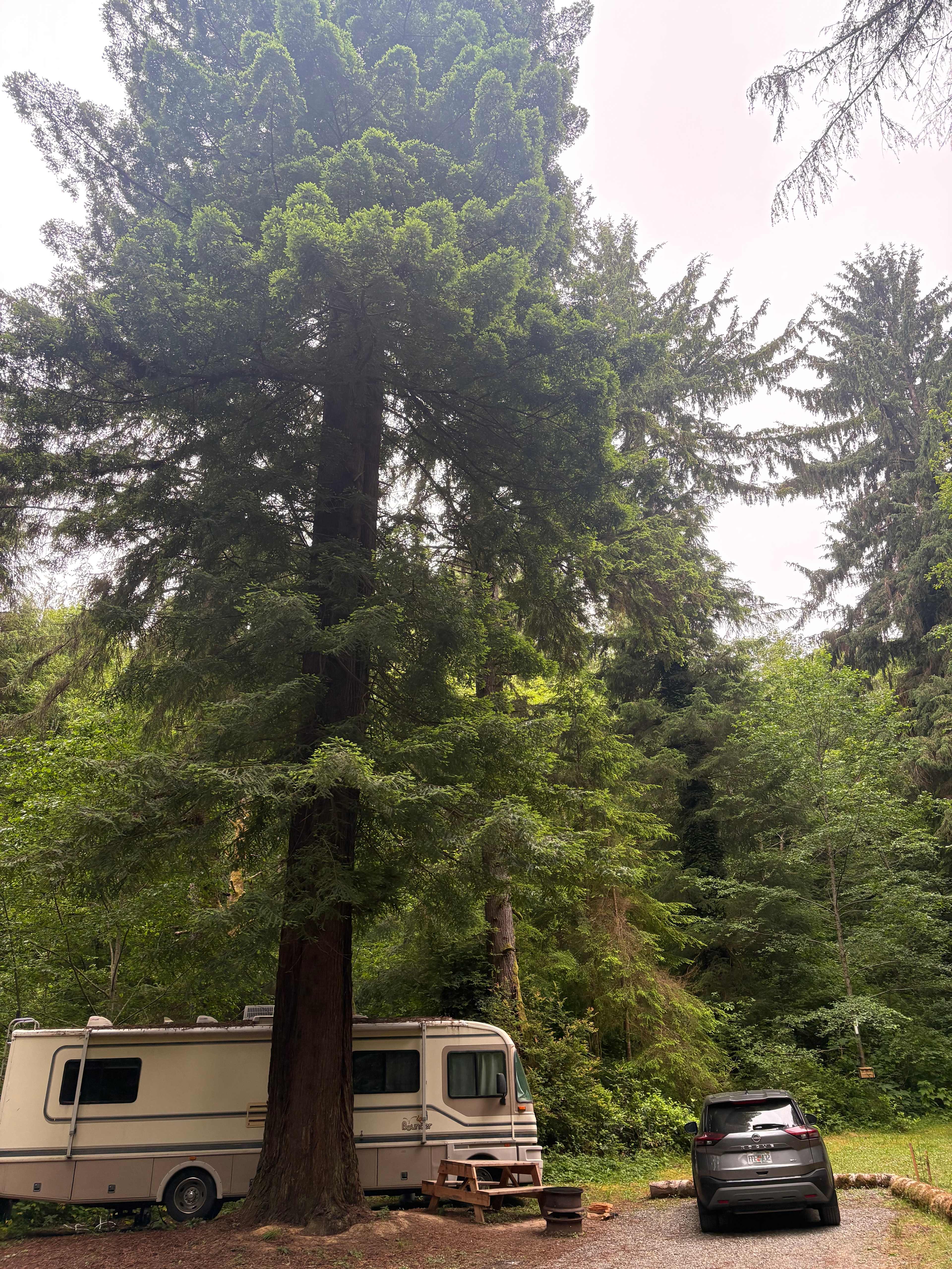 Mystic Forest Campground