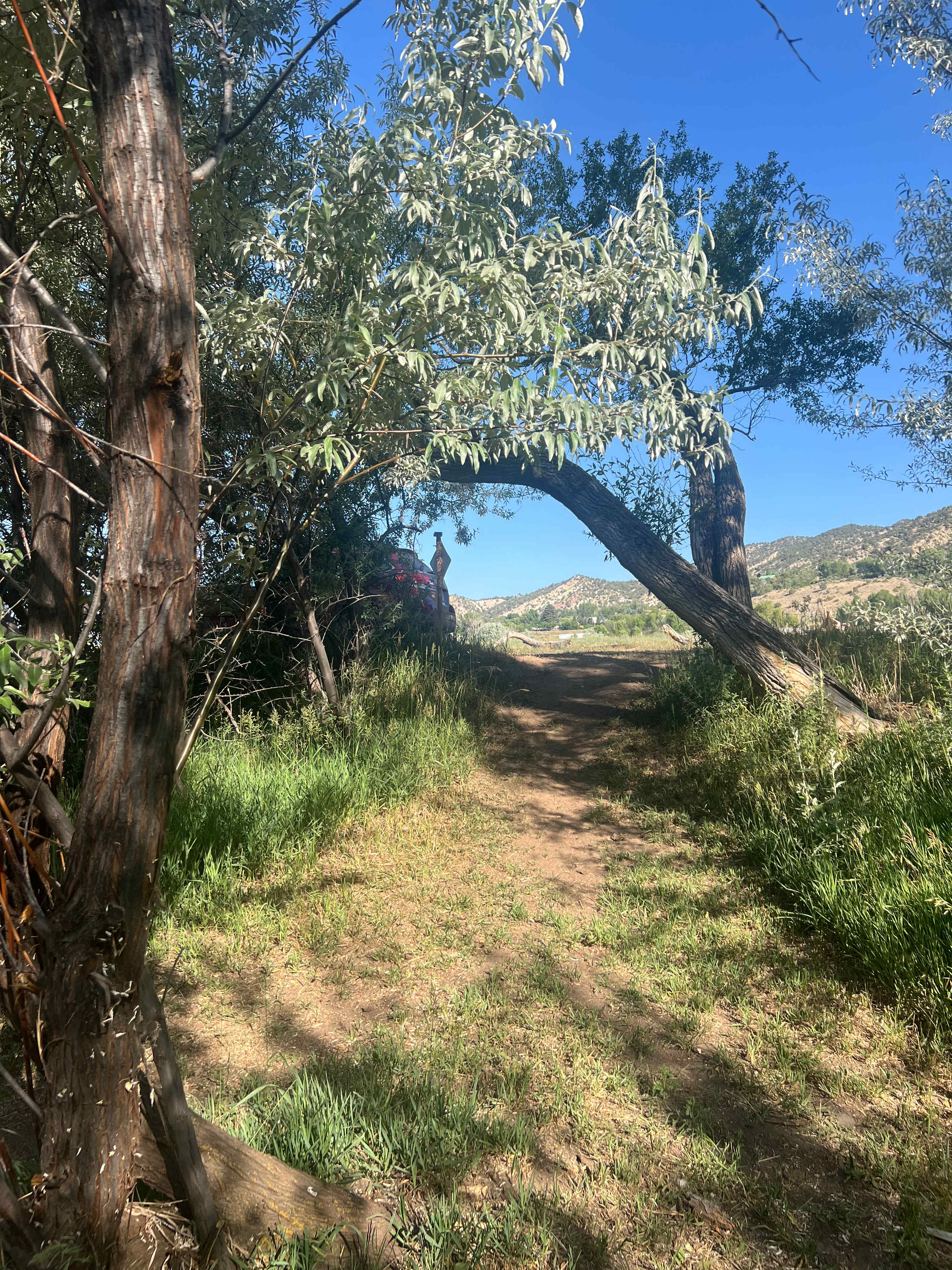 Colorado River Camp Has It All!