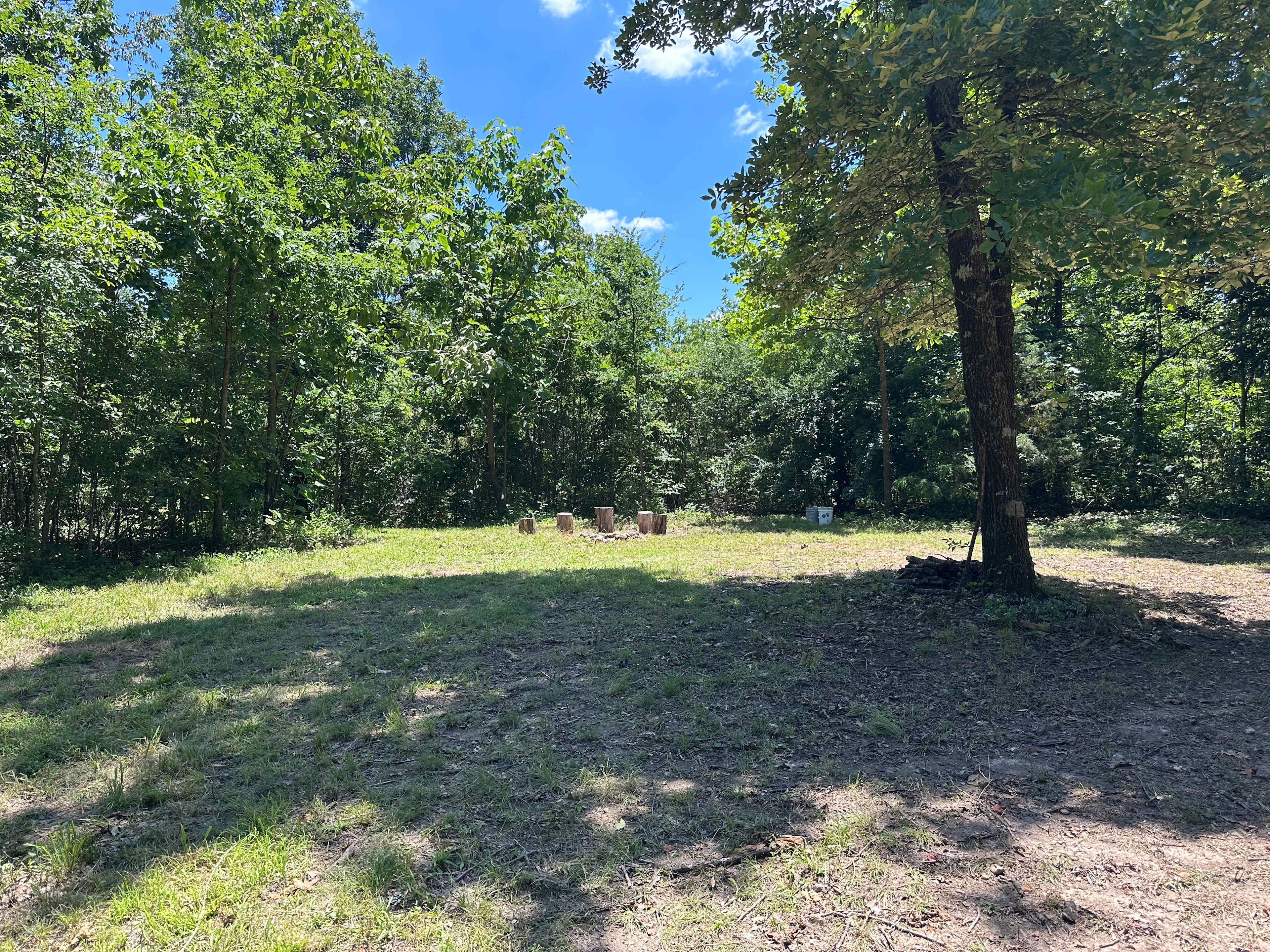 July 2025 Logging Trails Campsite