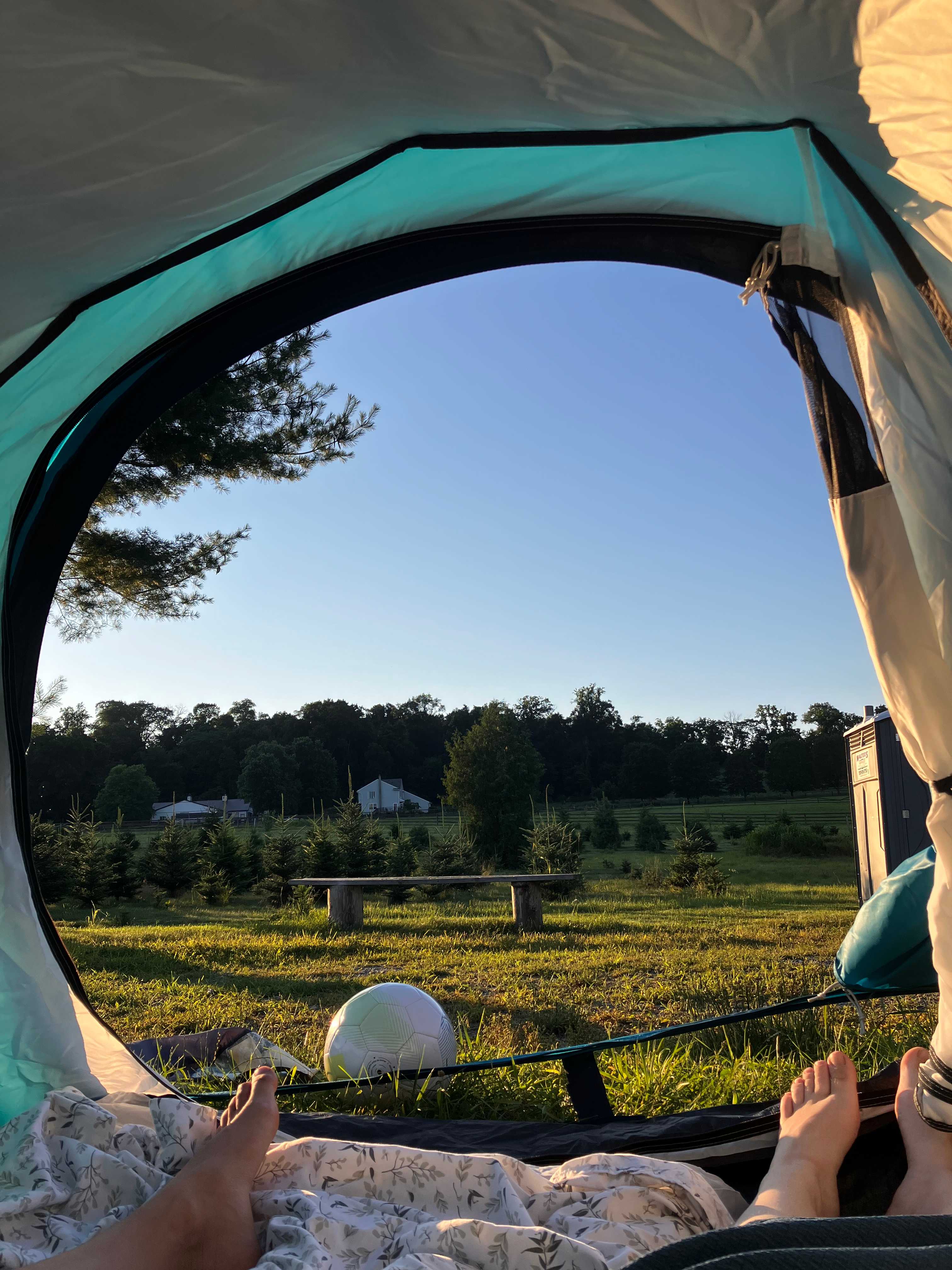Christmas Tree Farm with Views