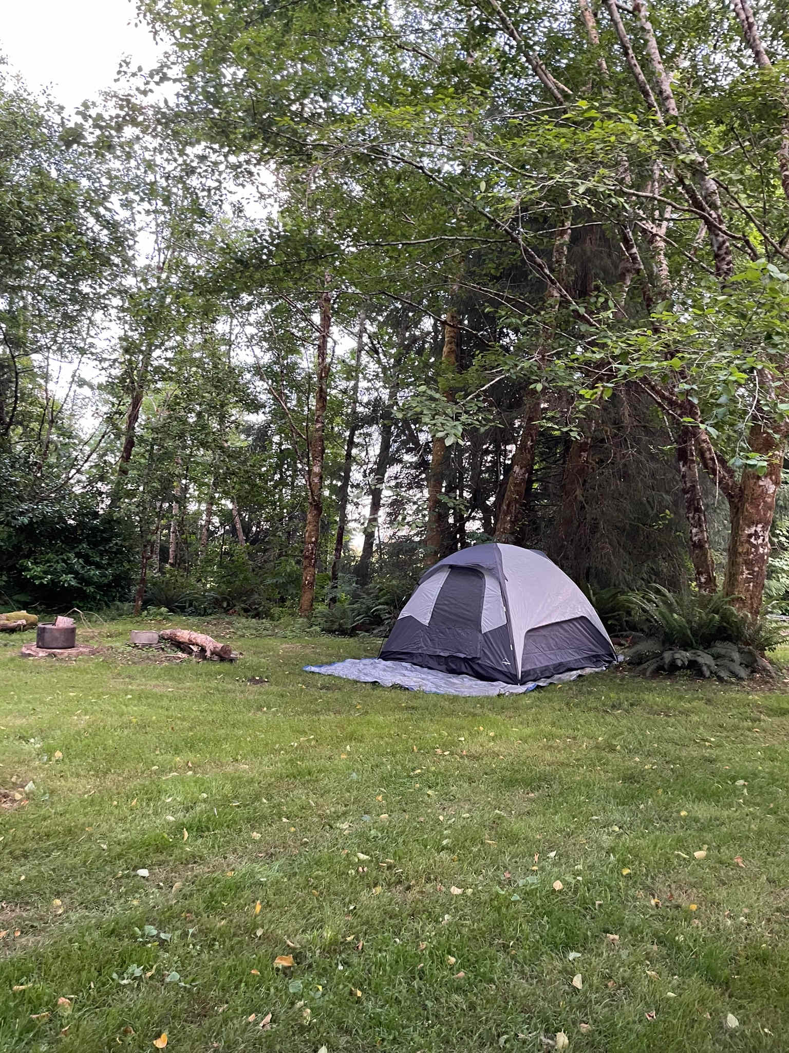 Fly Inn And Camp