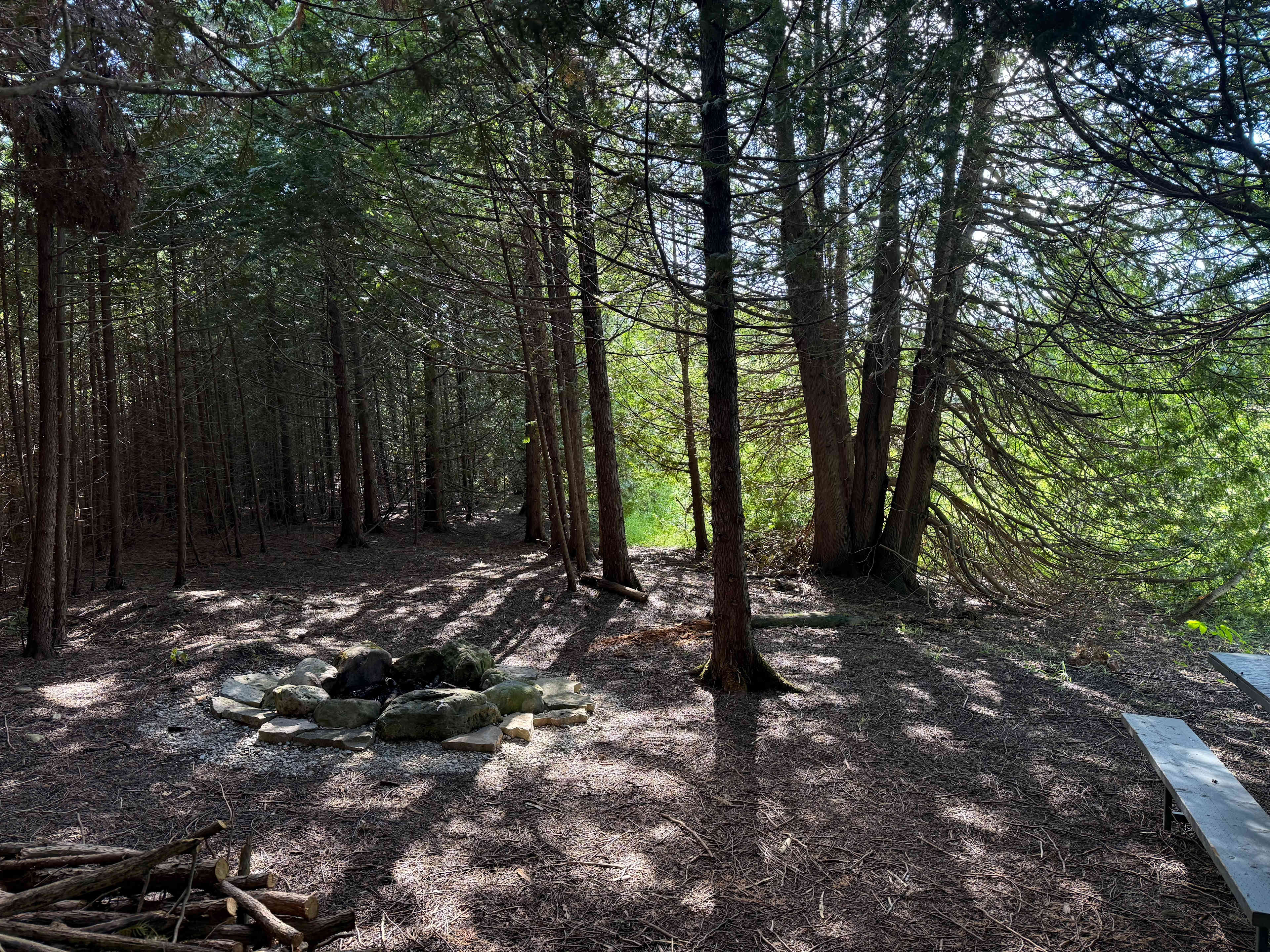 Cedar Banks