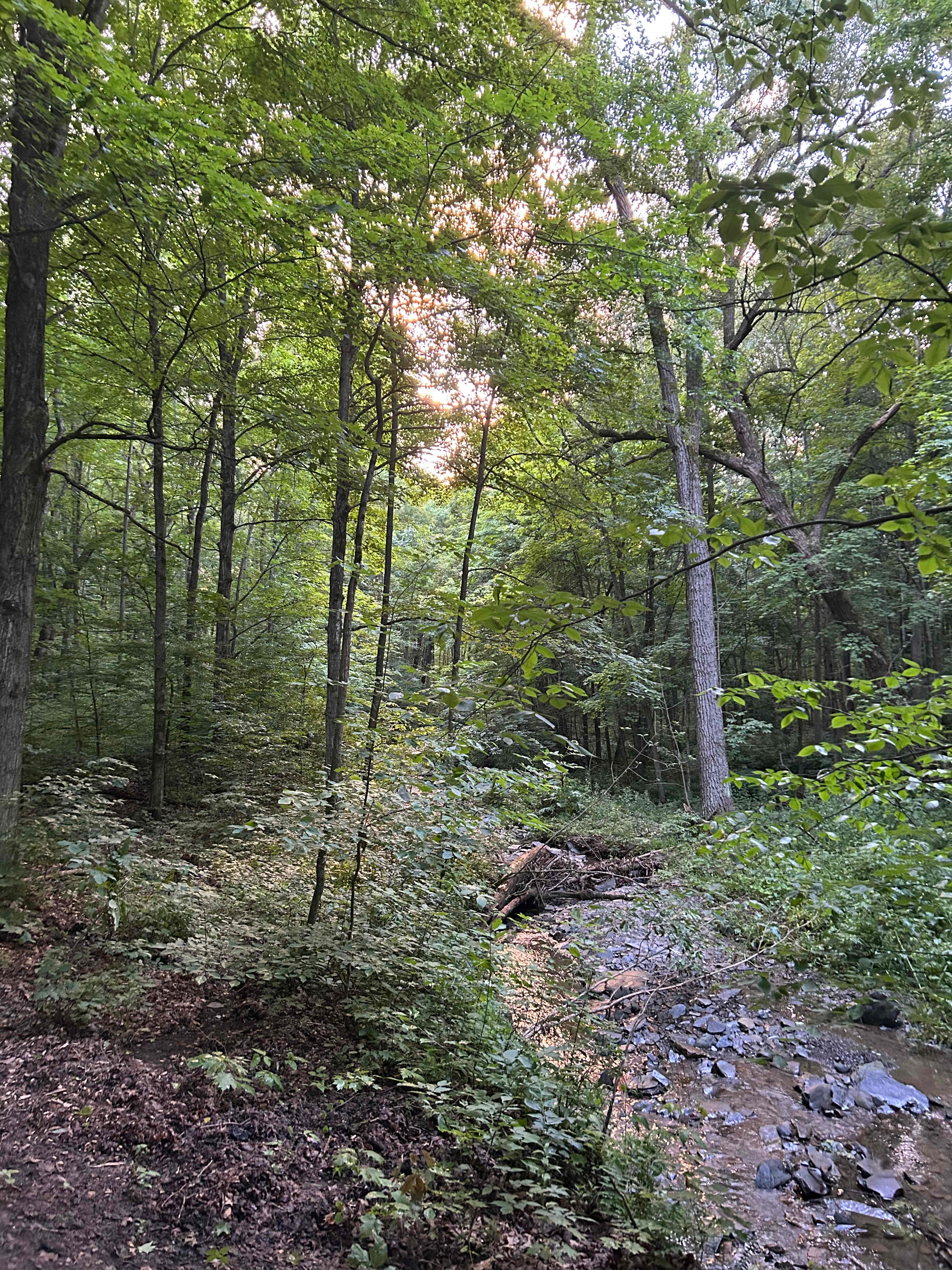 Minglewood Camp