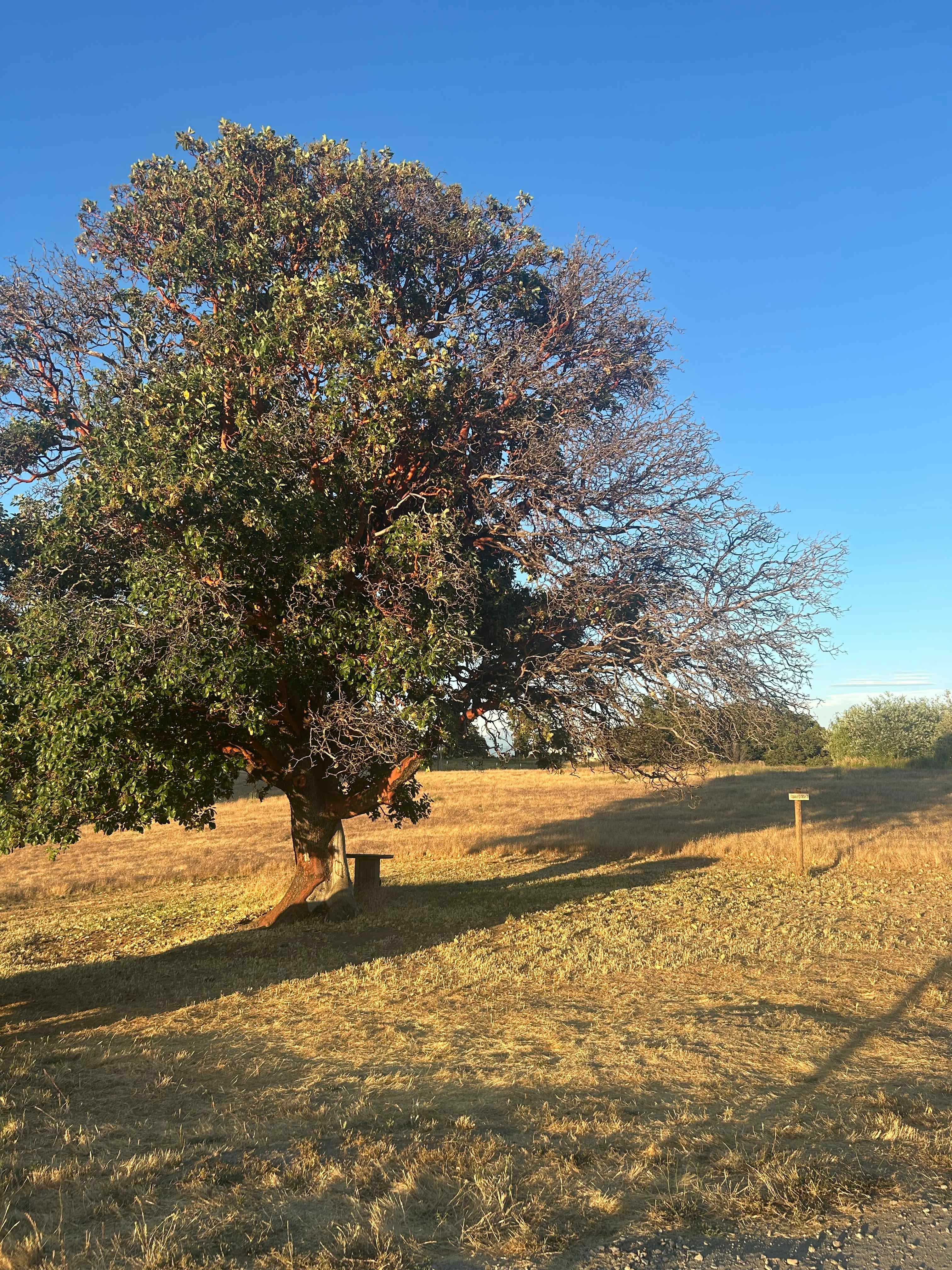 Lane Creek Reserve