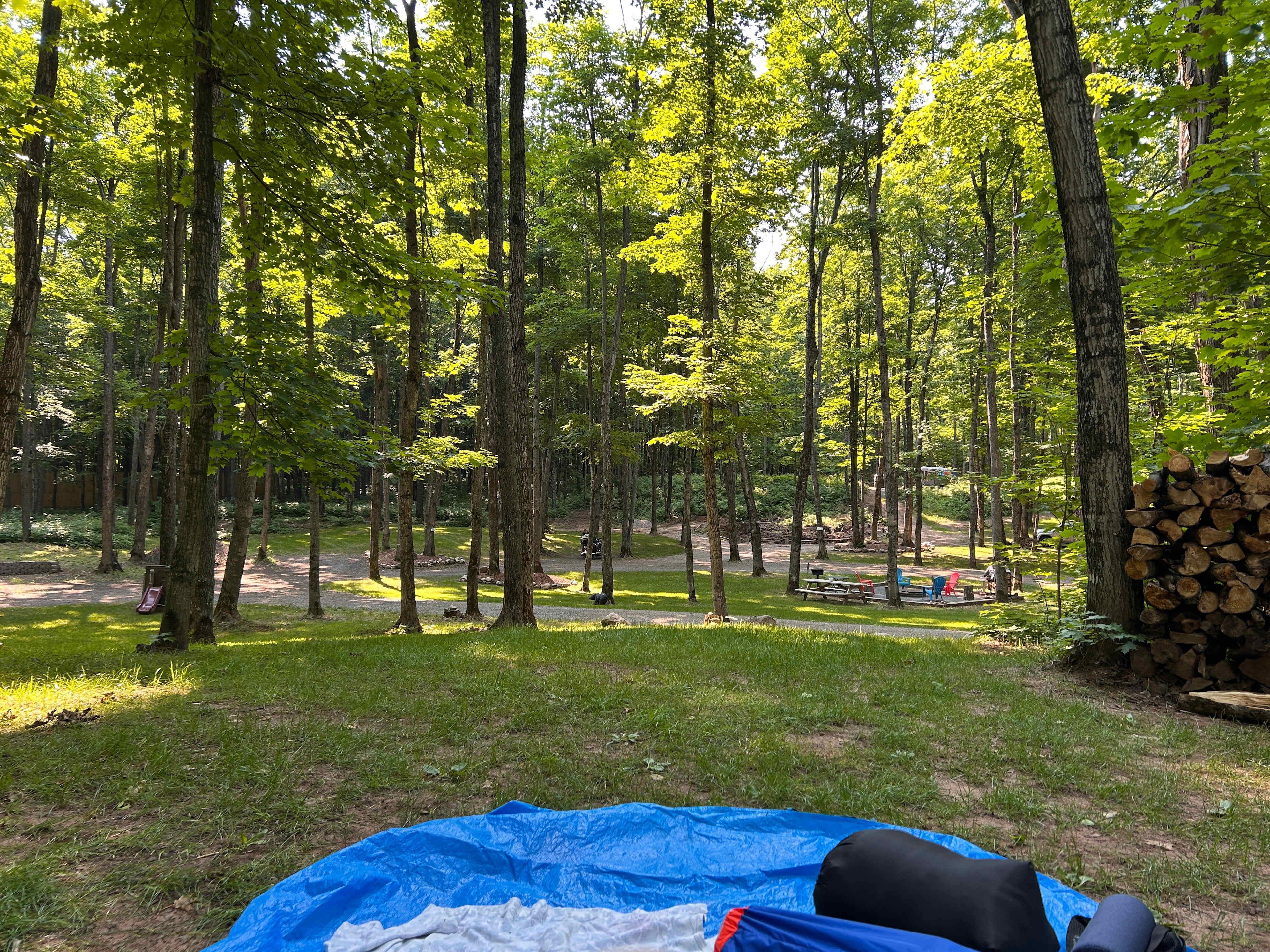 Northern Oasis Camping