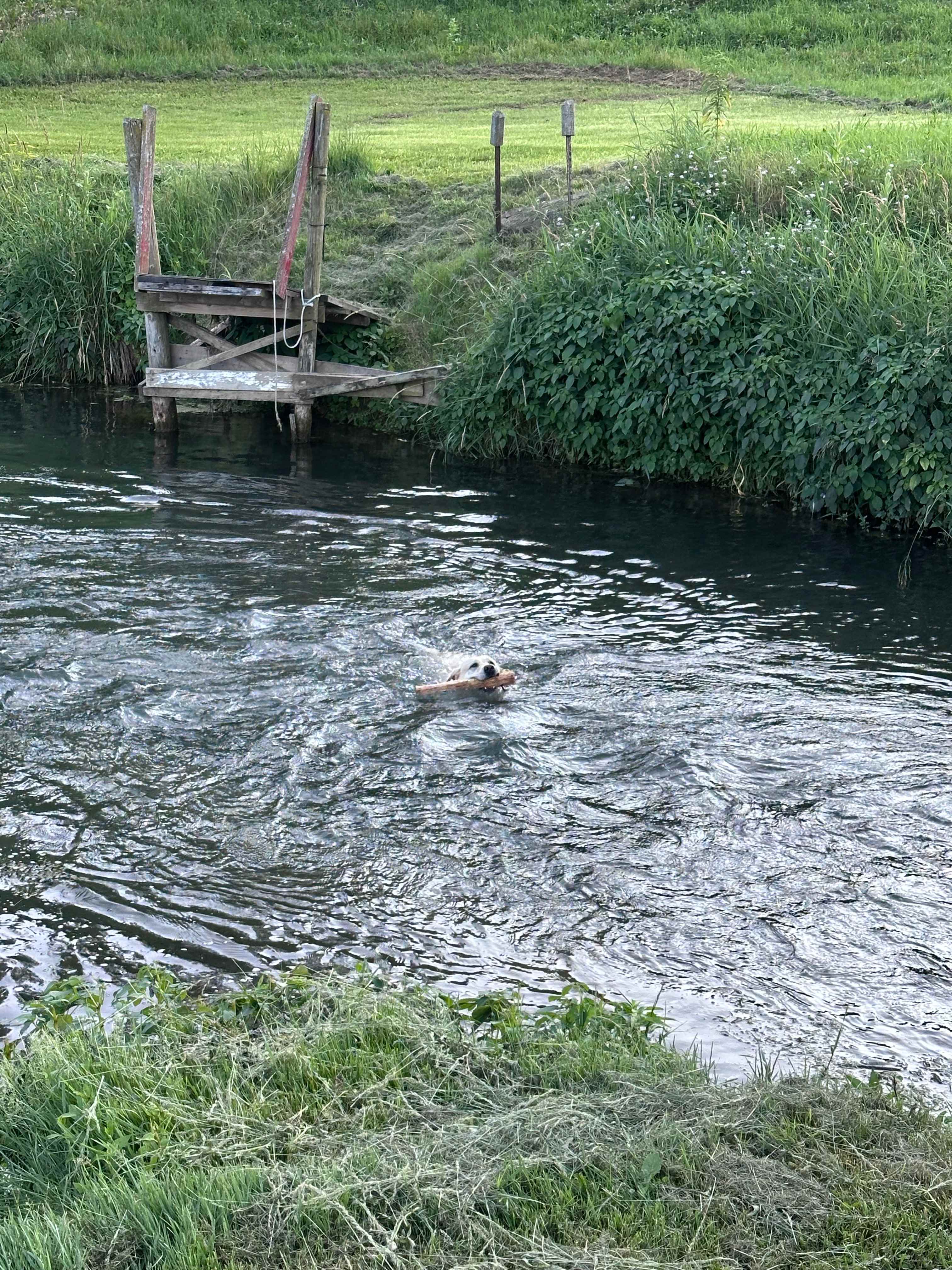 Oasis Winnebago Swimming Stream
