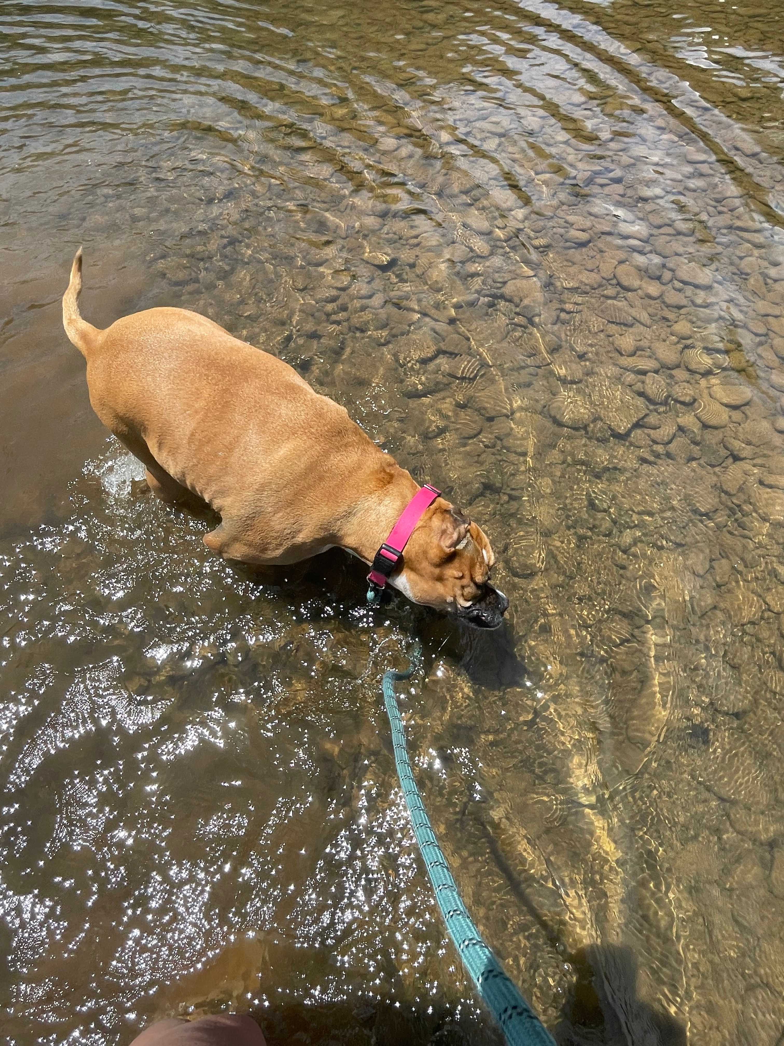 River Trail Hollow