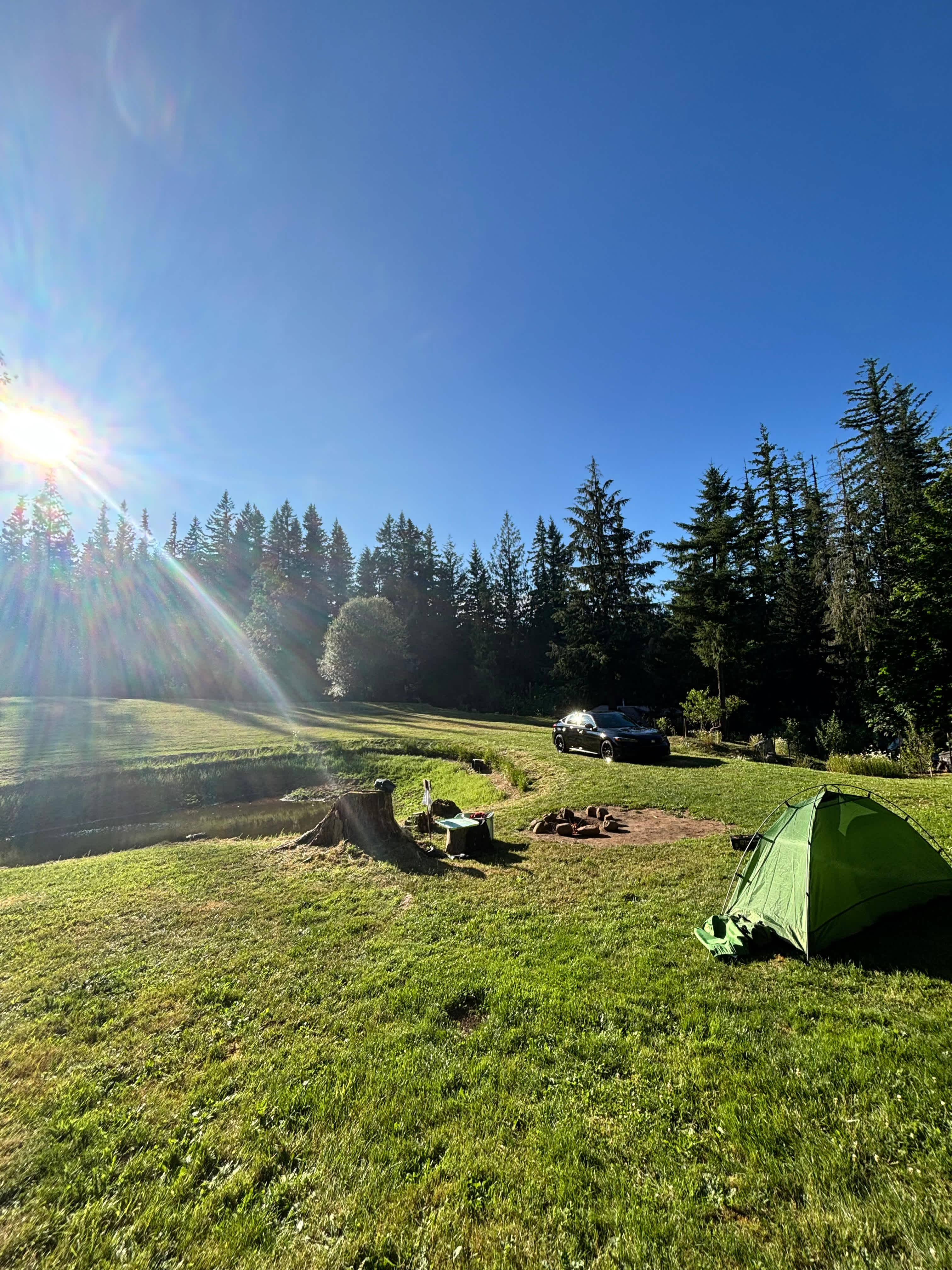 River Mountain Meadow