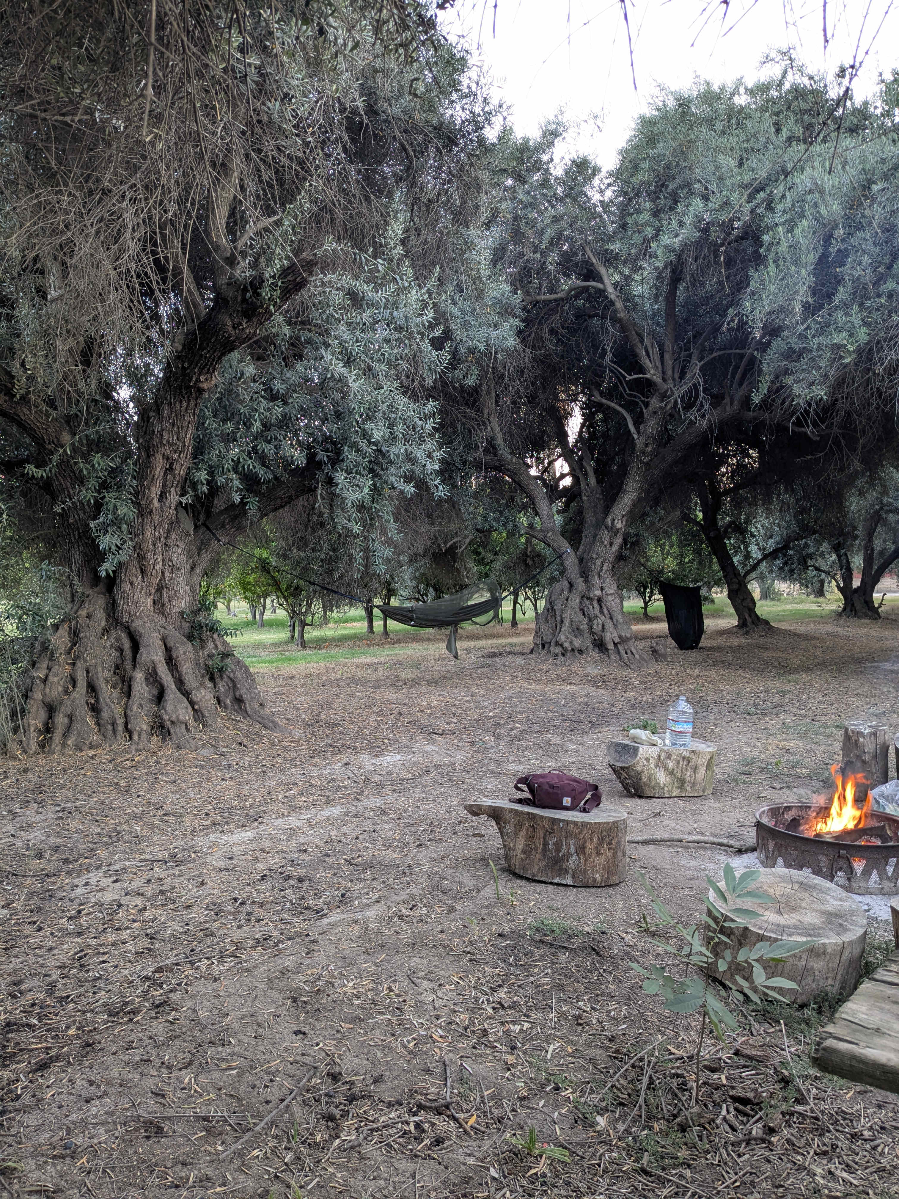 Blue Moon Orchard Retreat