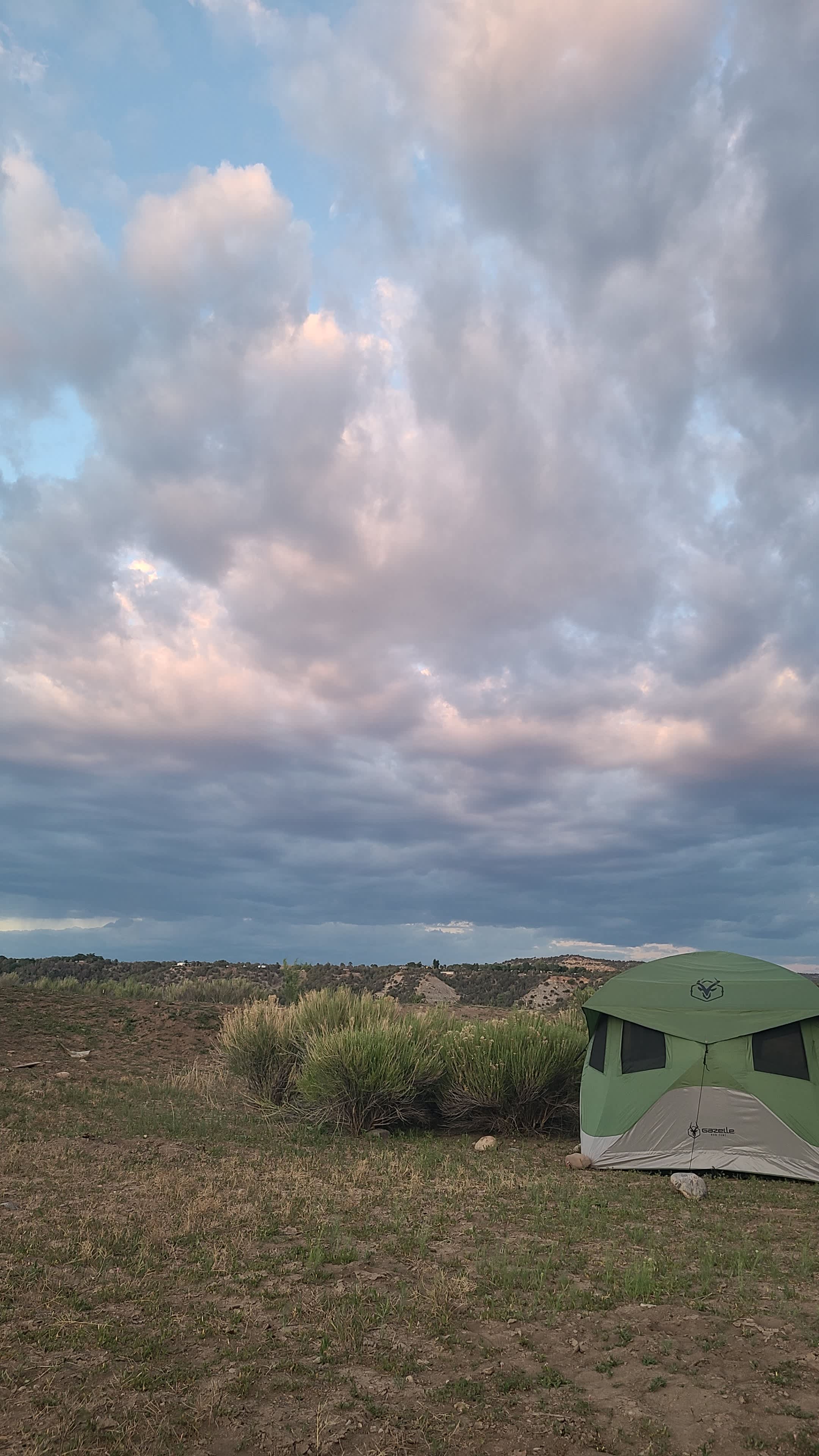 Linda M.’s Santa Rita Ranch