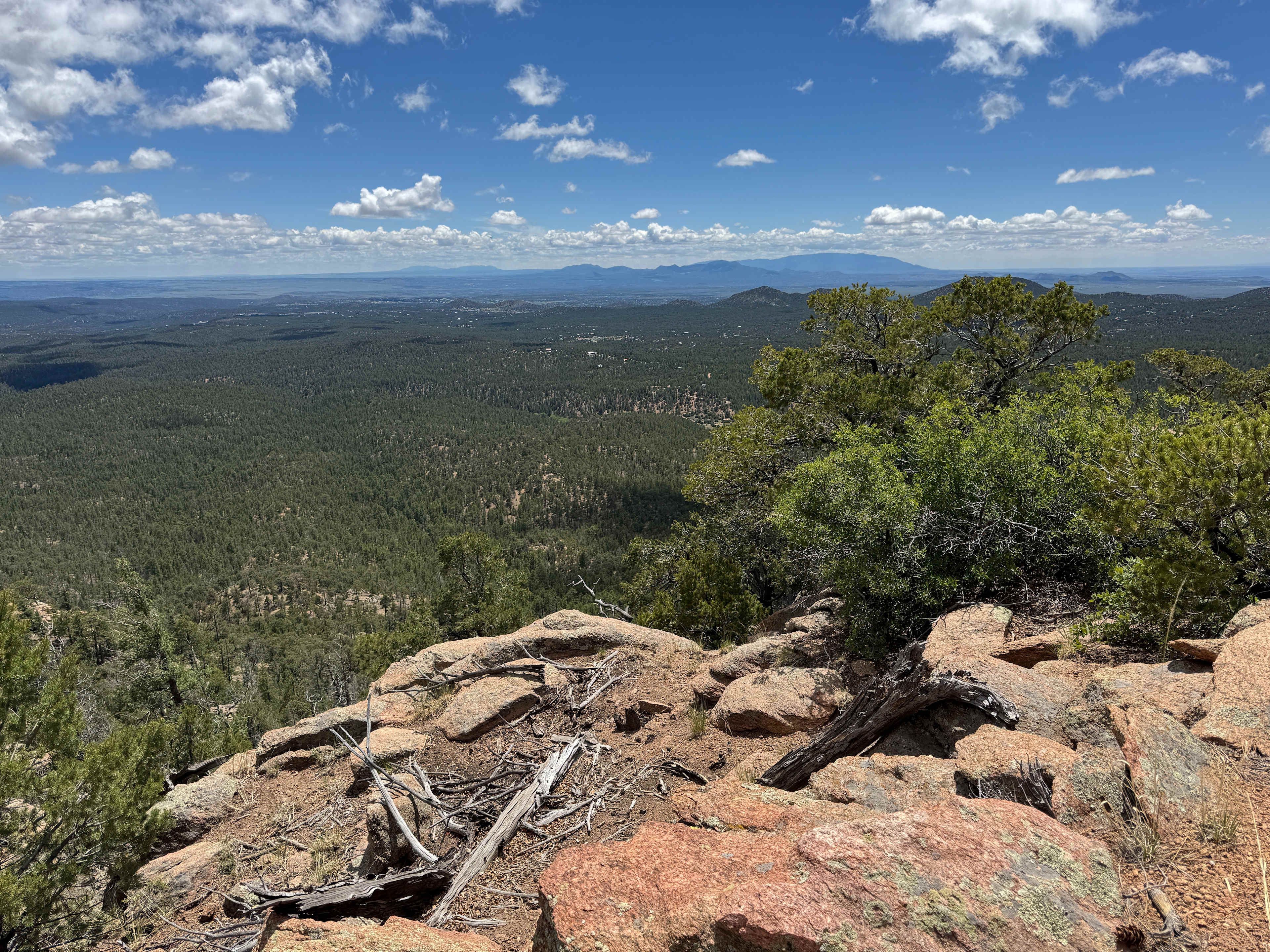 Santa Fe Treehouse Camp