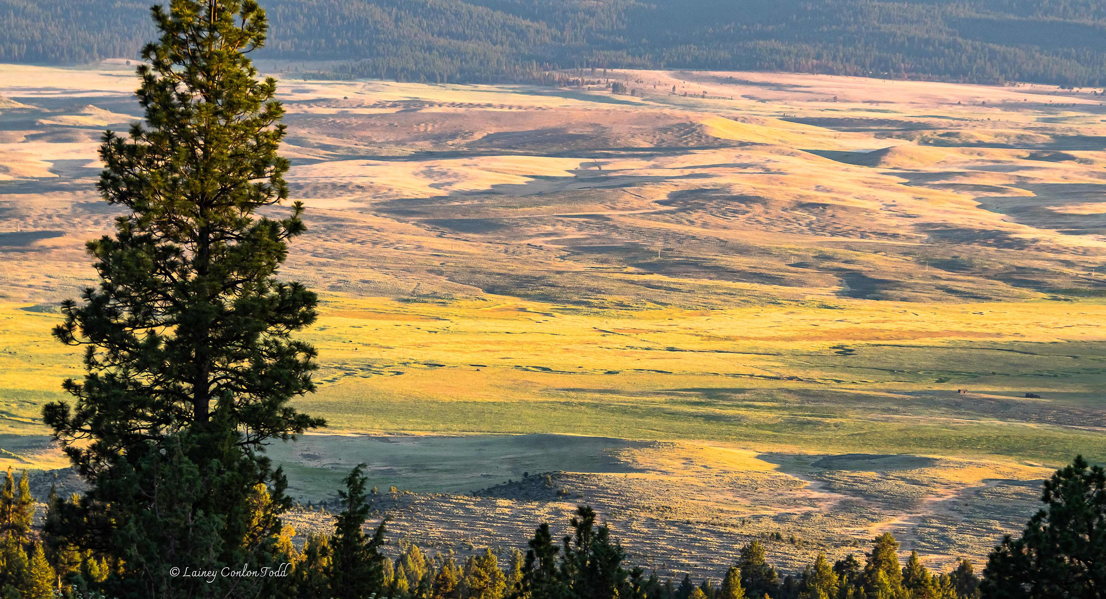 Looking south from the cabin