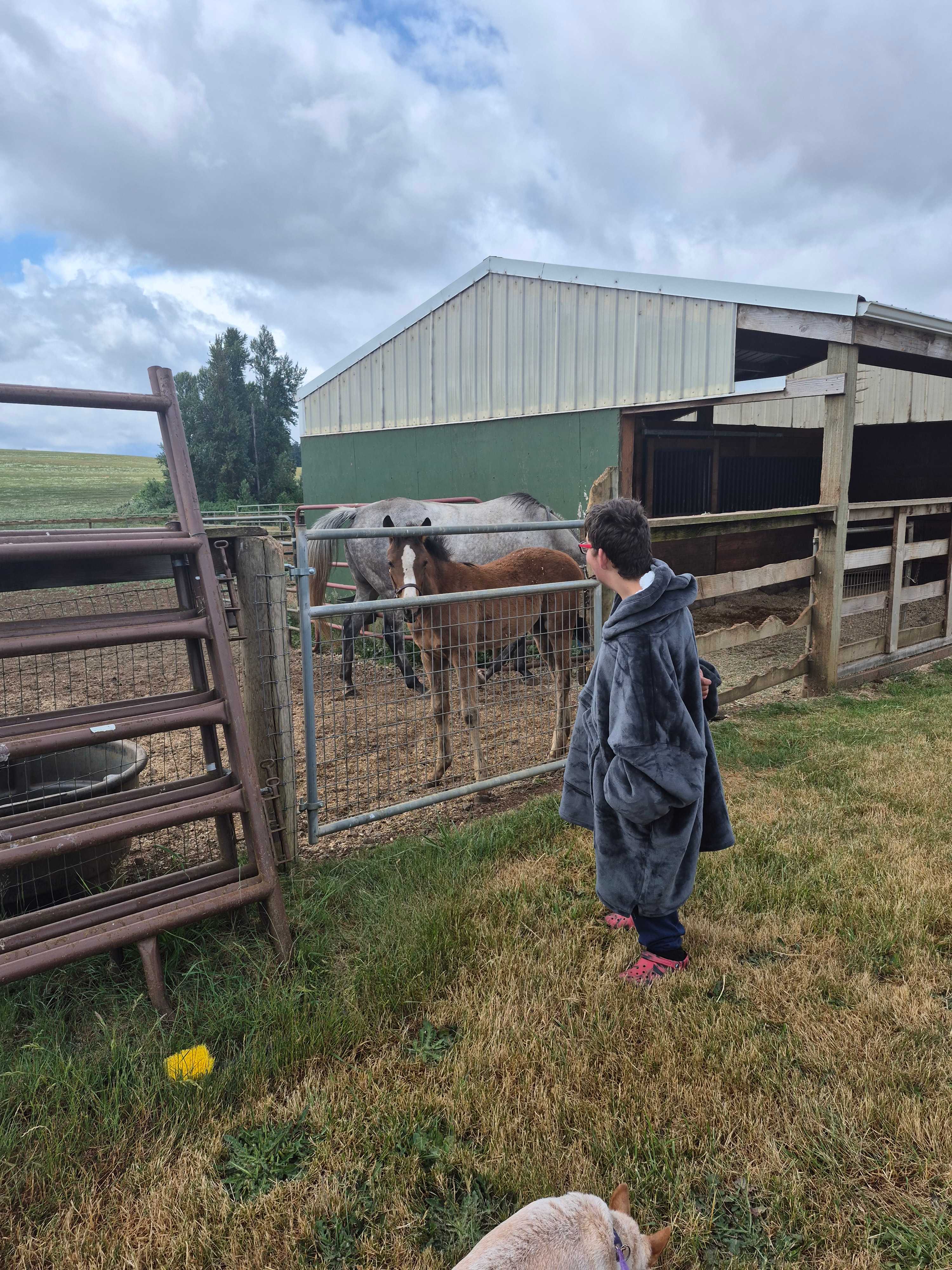 Ruah Ranch