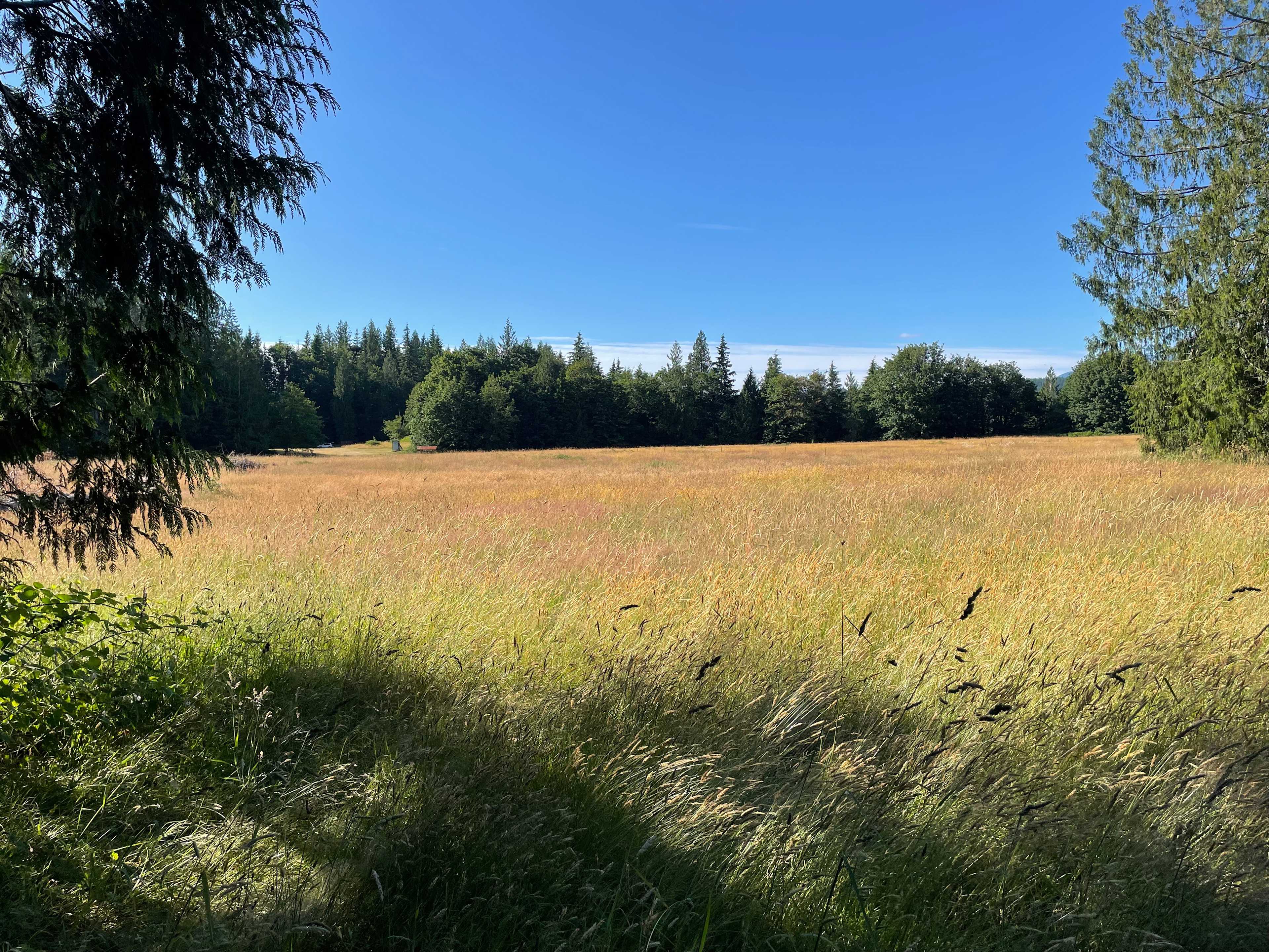 The PNW Landing (Monroe)