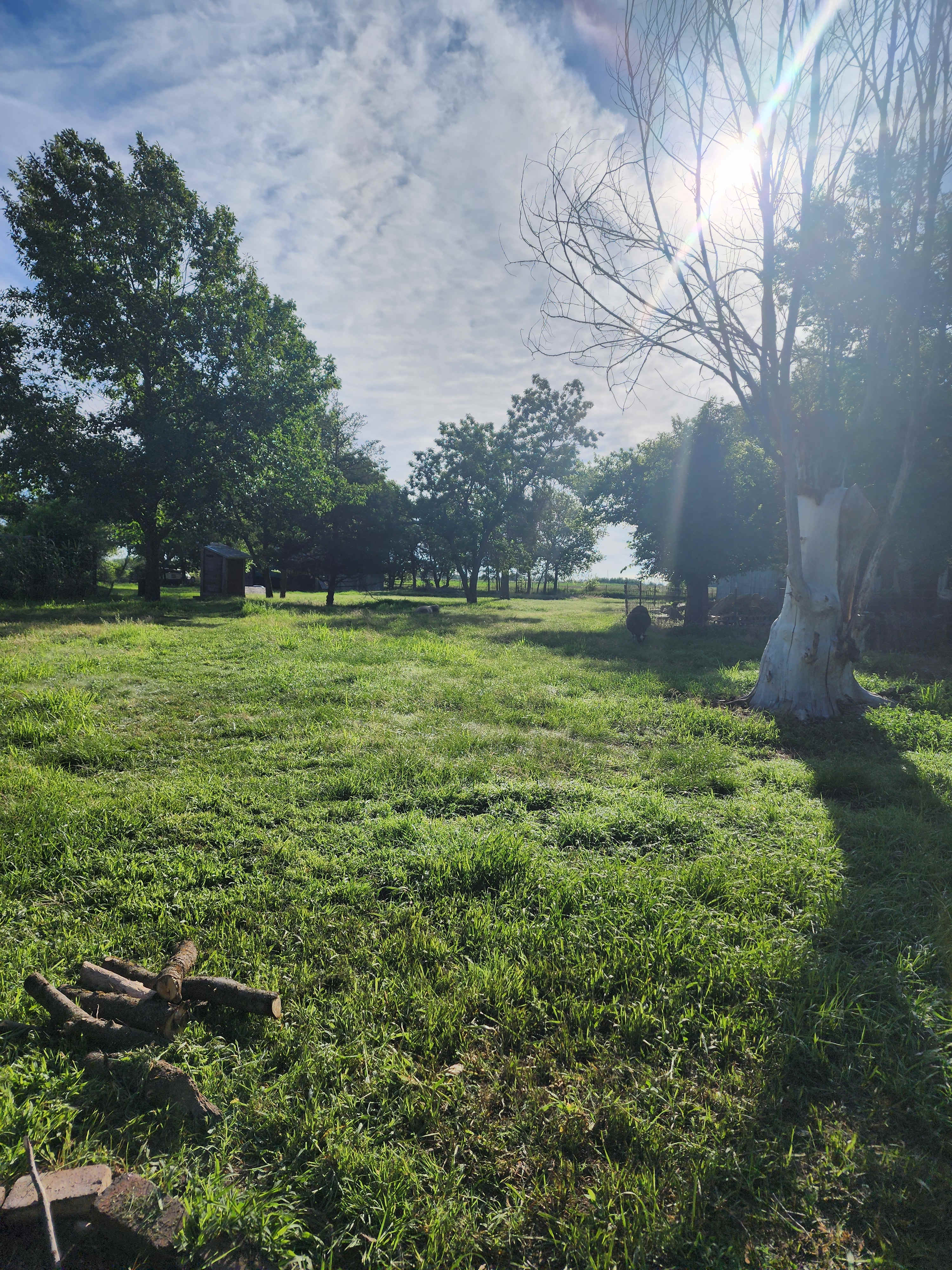 Our Little Grove