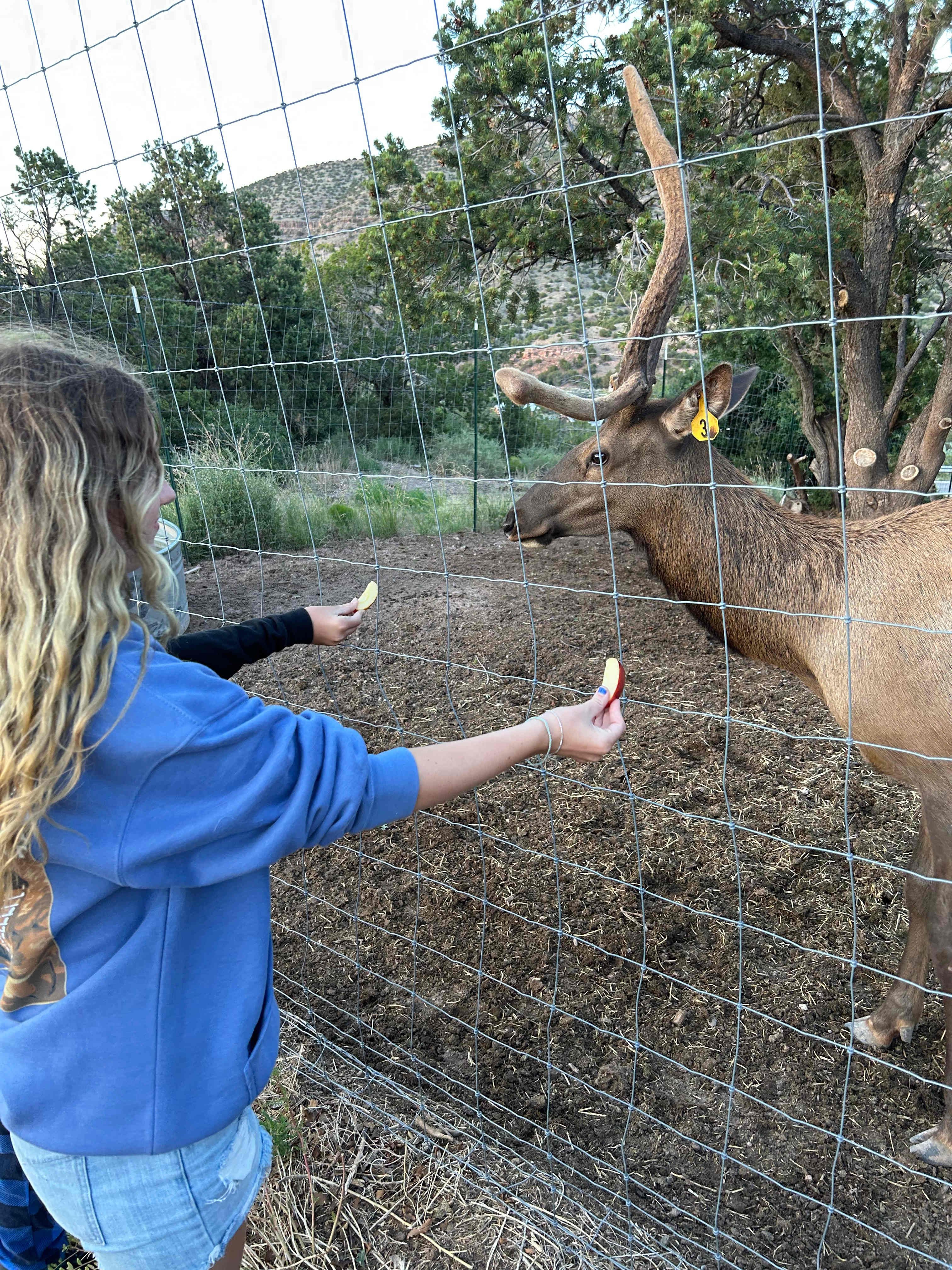 Elk Ridge Ranch