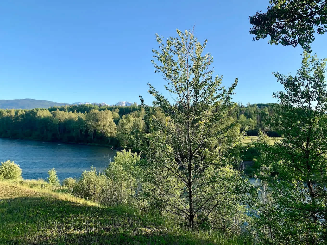 Harmony Ridge RV Park and Guesthouse