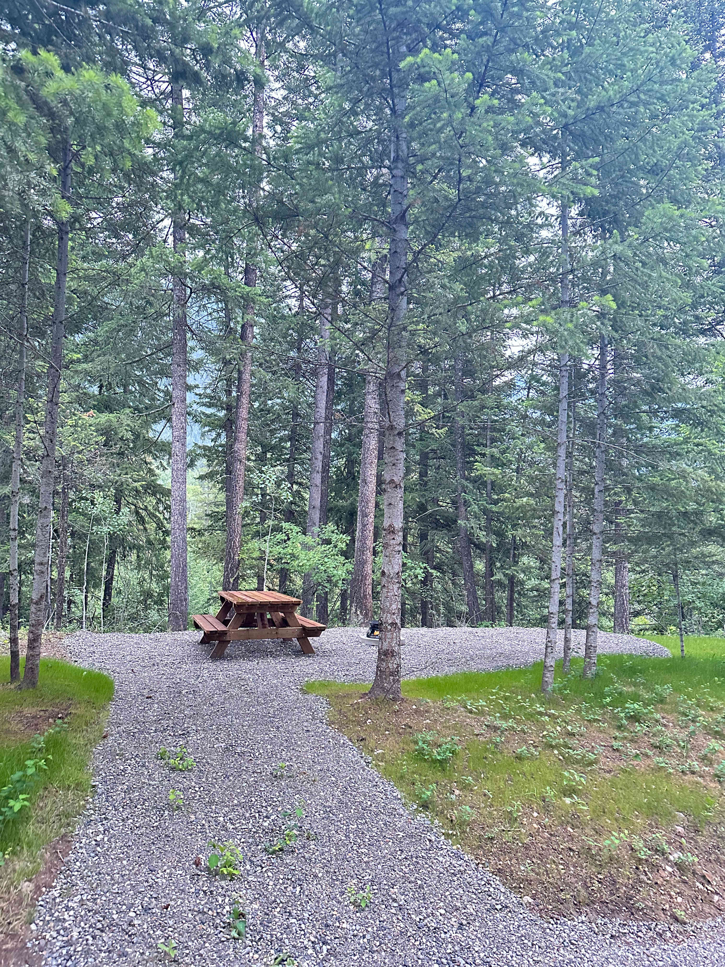 Hospital Creek Hideout