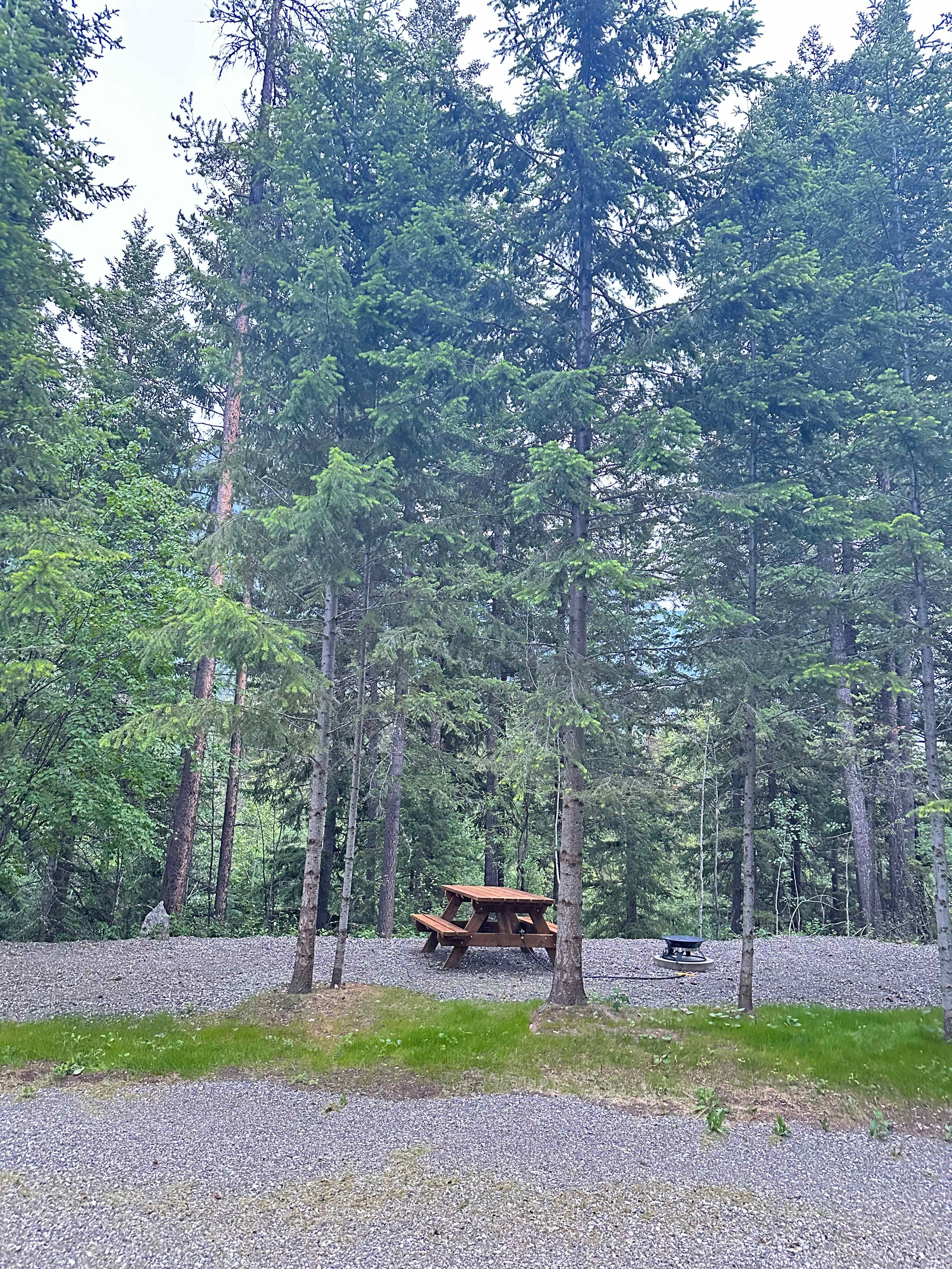 Hospital Creek Hideout