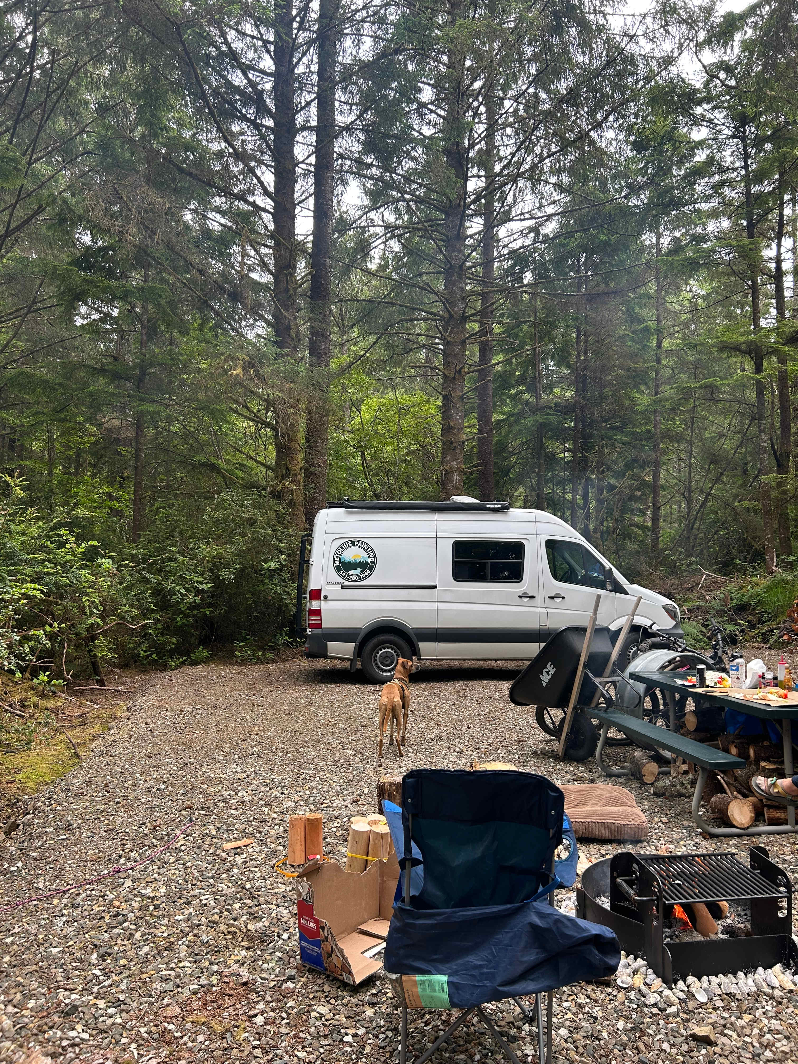 Twisted Tree Camp