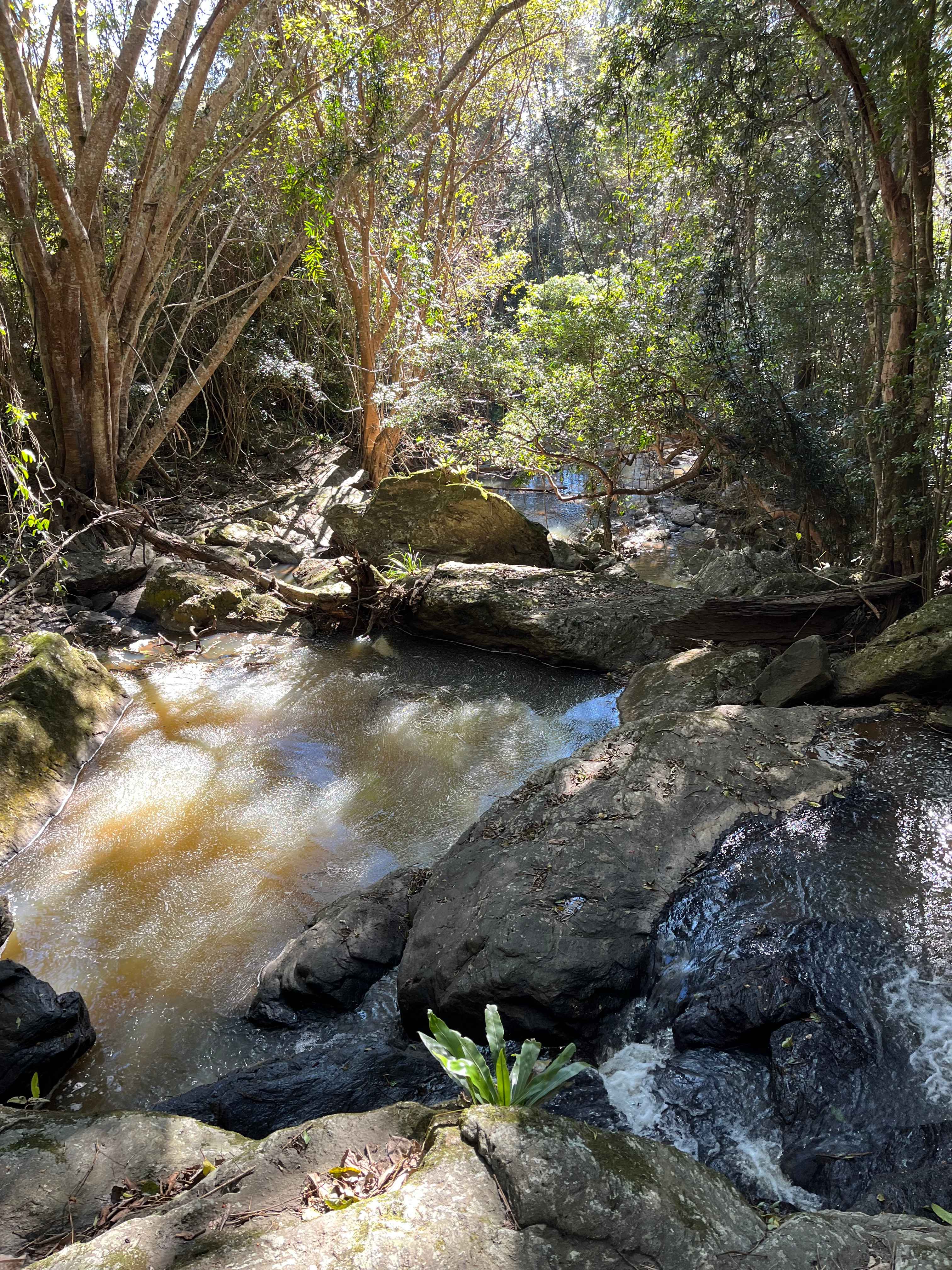 Coorie Vale