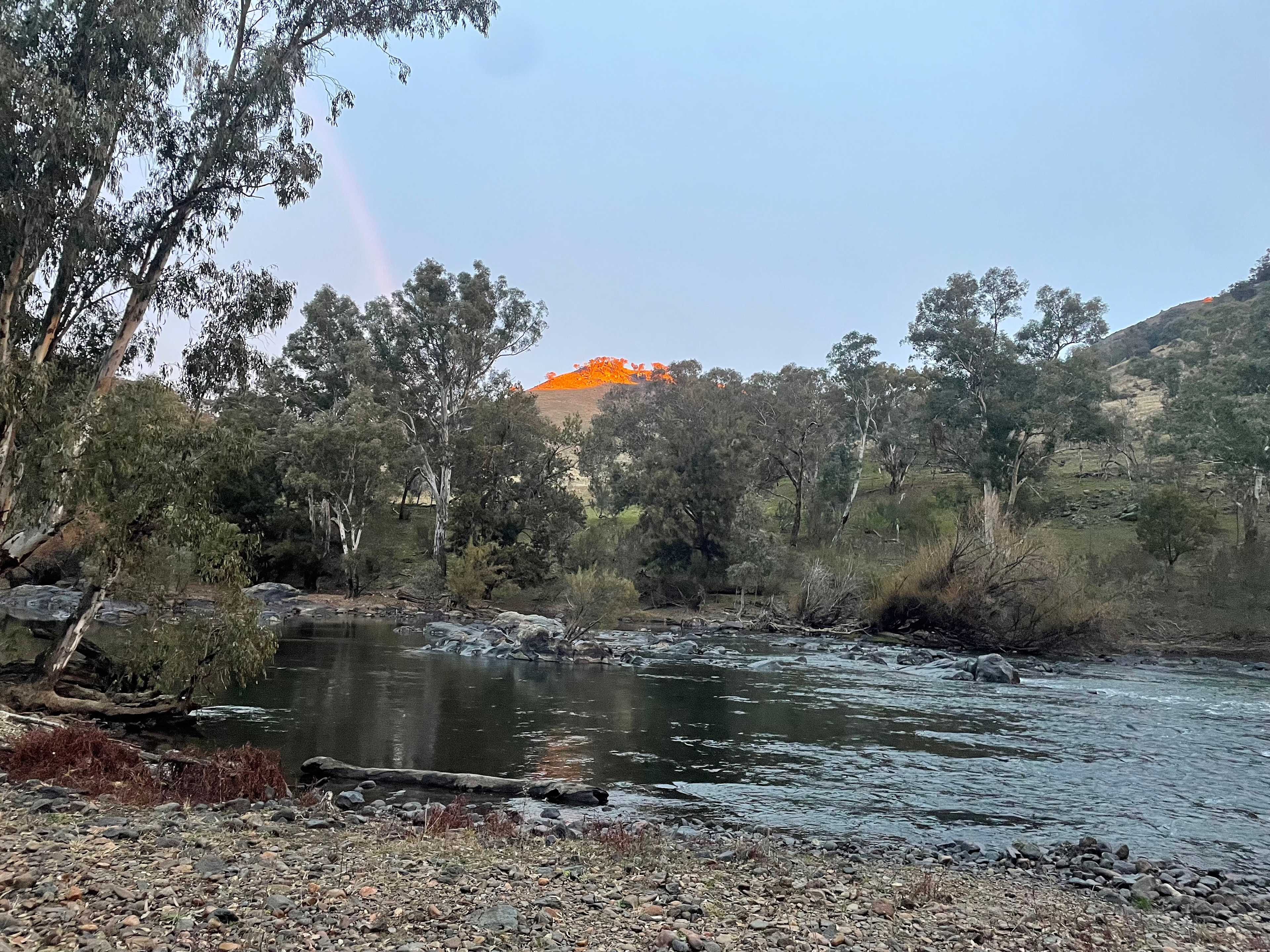 Jarabin on the Murrumbidgee
