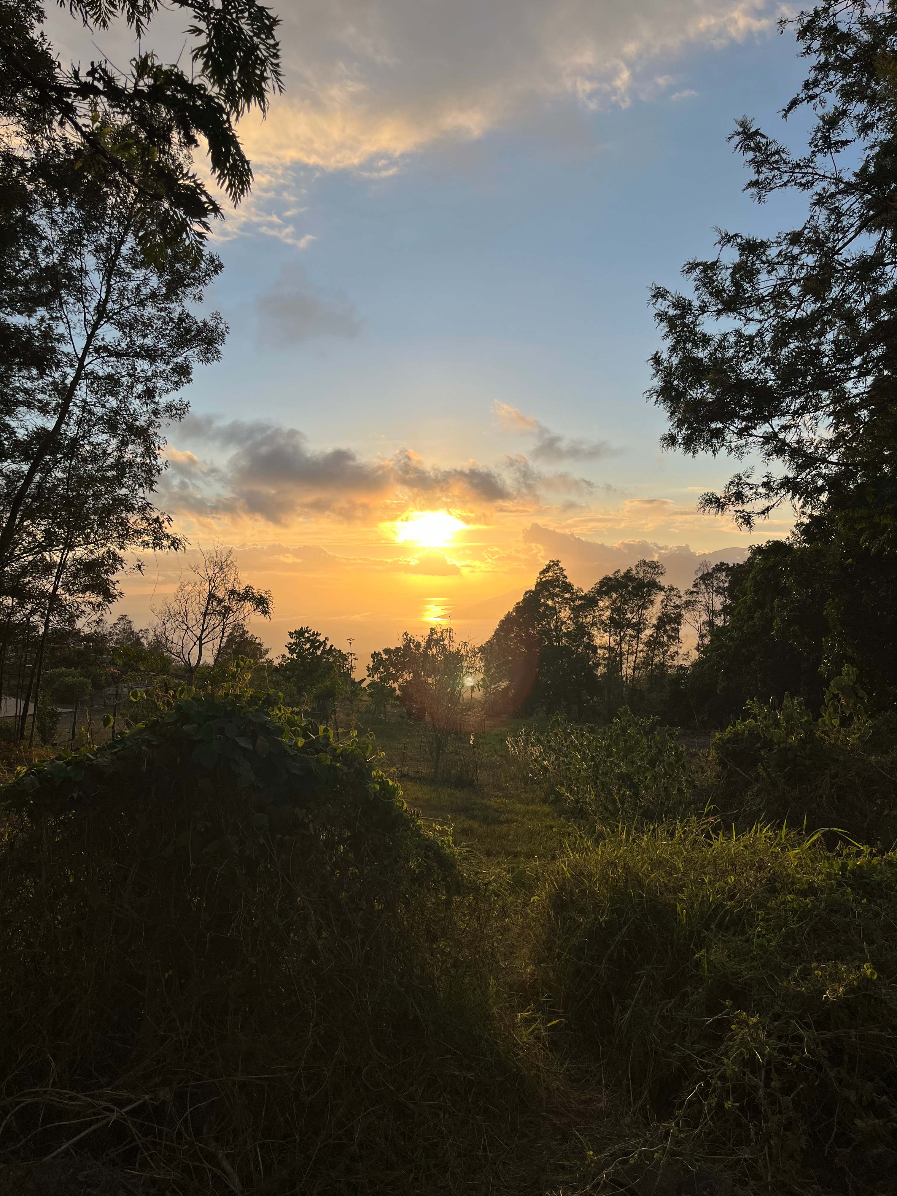 Wahi Nanea Place of Relaxation