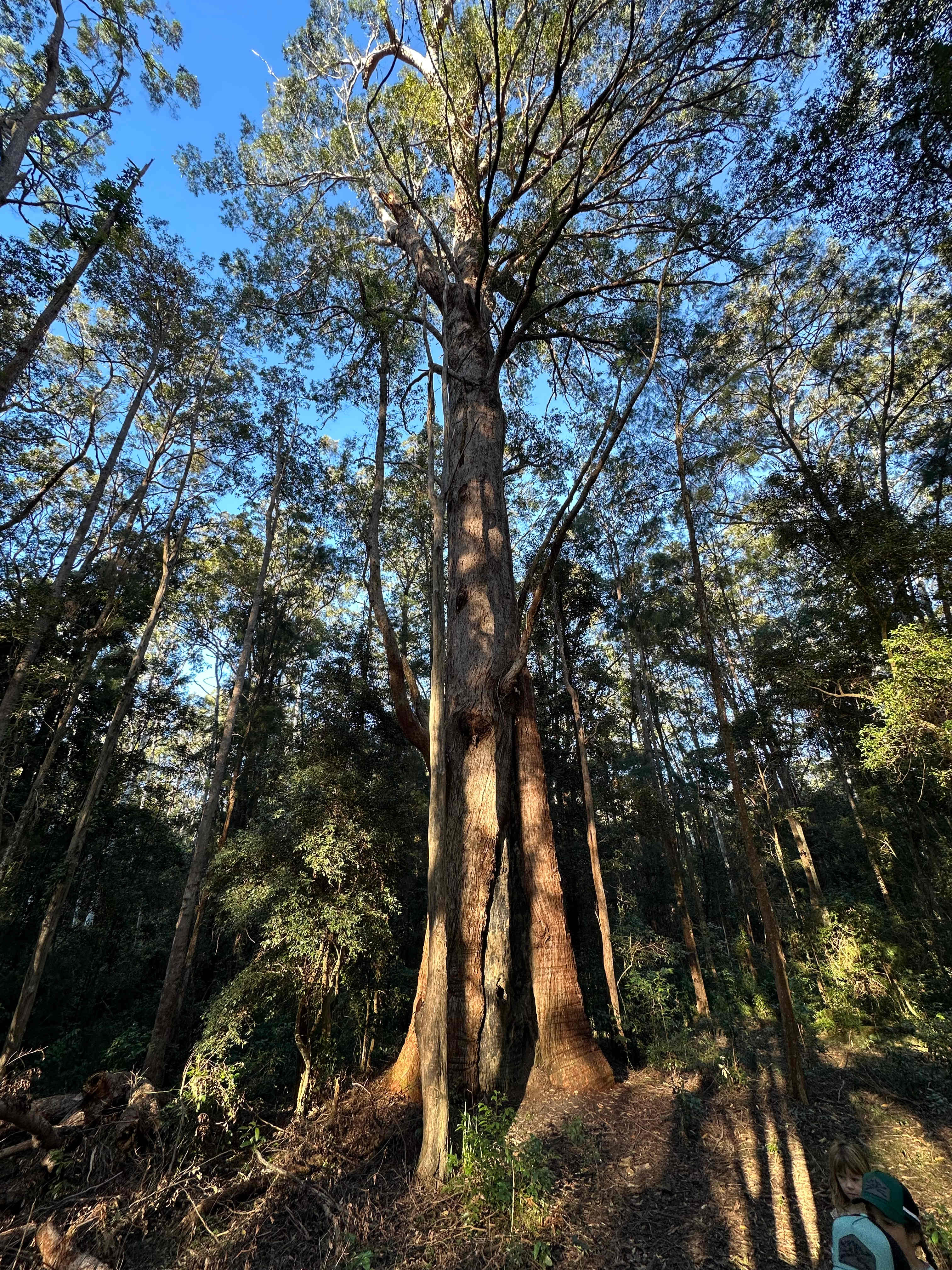 Bonville Camp Ground