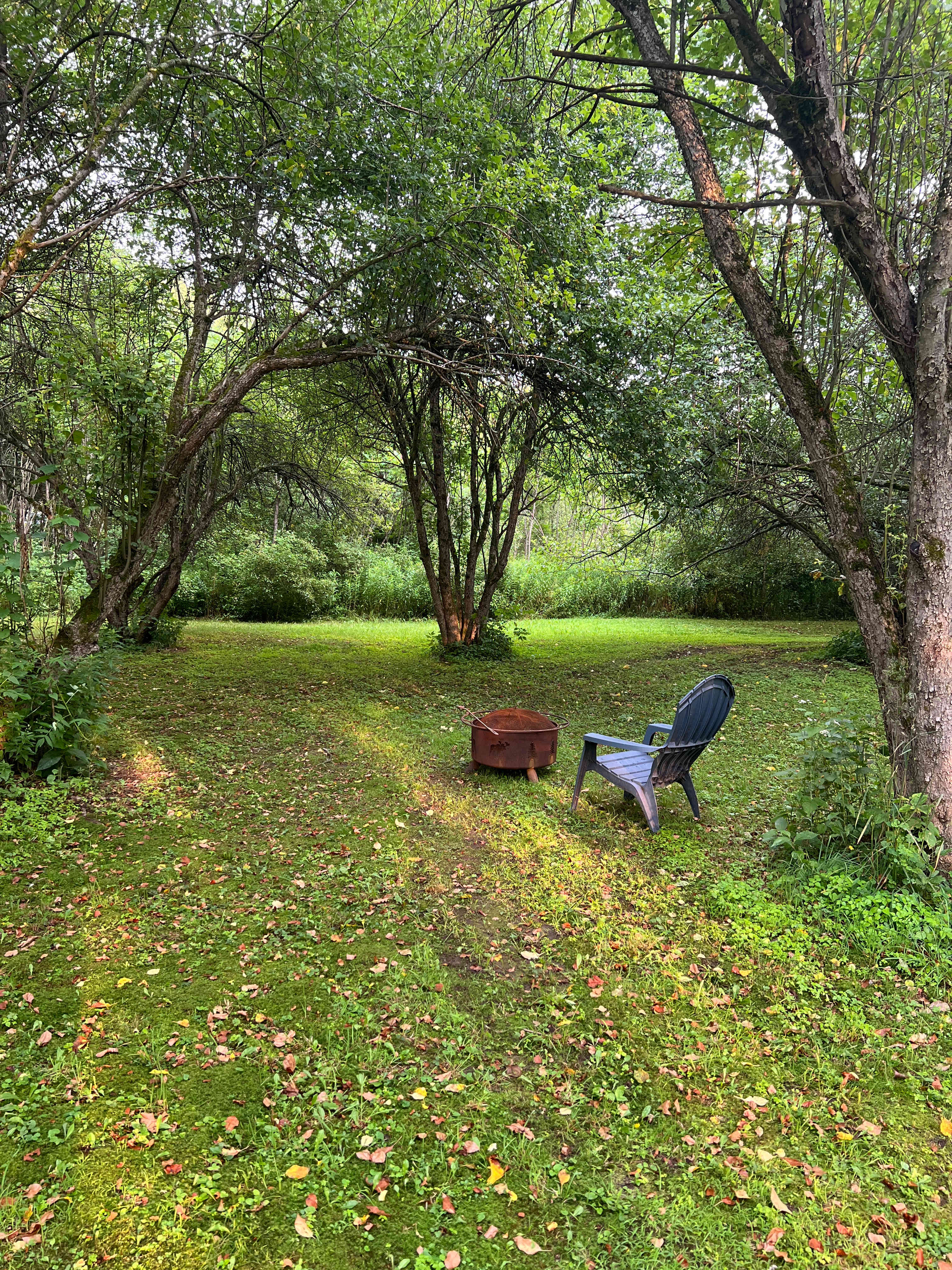 Riverside Retreat and Tiny Cabin